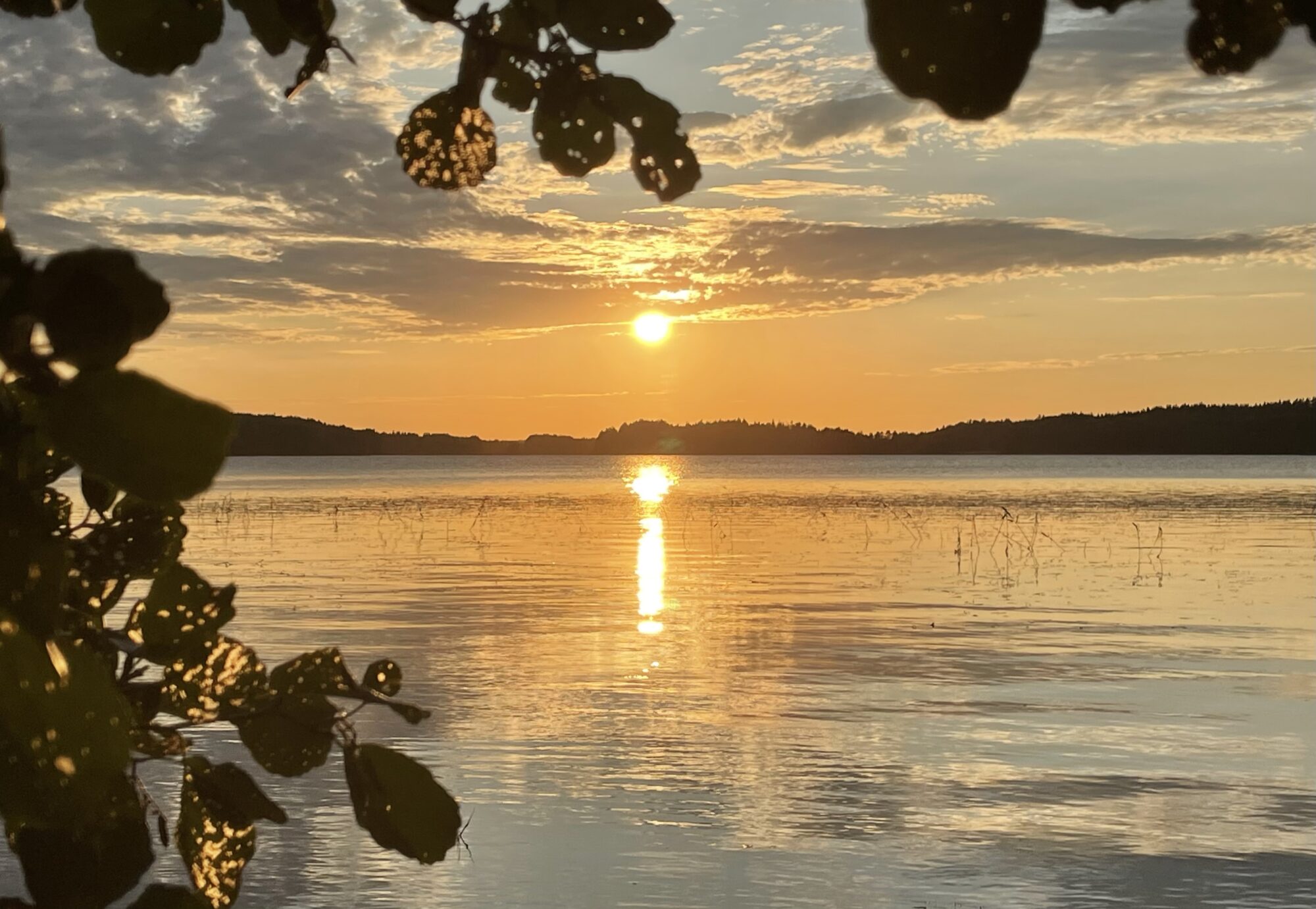 Valokuvaaja: Liisa Niiva-Korpela Valokuvaaja: Liisa Niiva-Korpela