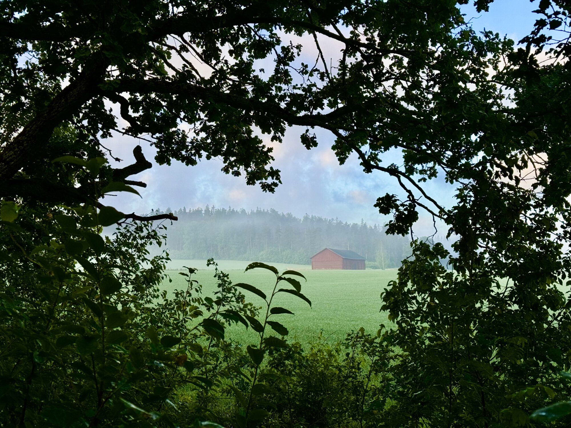 Valokuvaaja: Juhani Peltonen Valokuvaaja: Juhani Peltonen