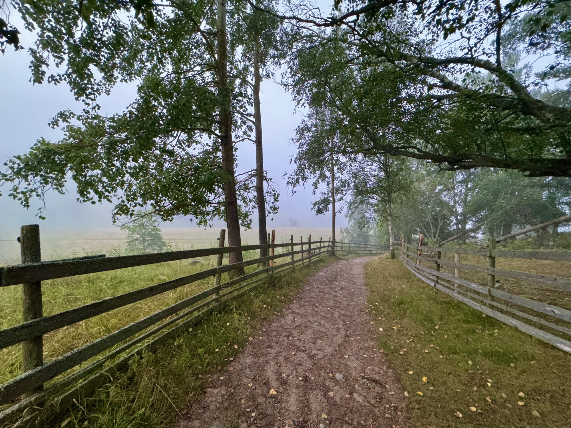 Valokuvaaja: Juhani Peltonen