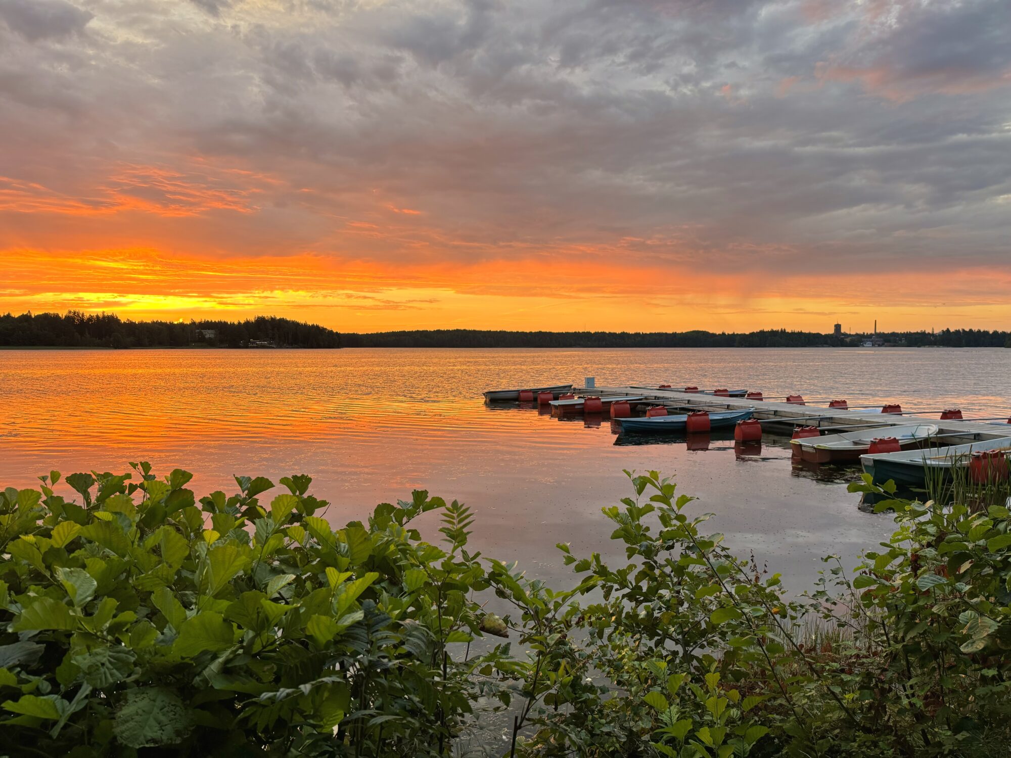 Valokuvaaja: Juhani Peltonen