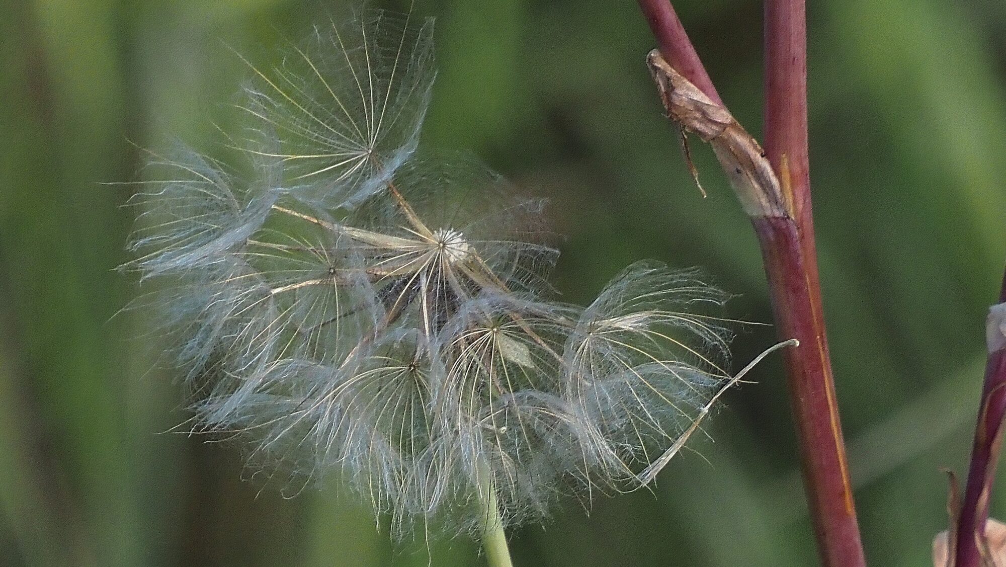 Valokuvaaja: Arja Valtonen