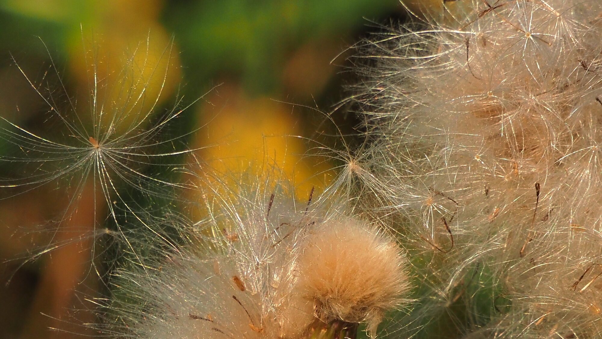 Valokuvaaja: Arja Valtonen