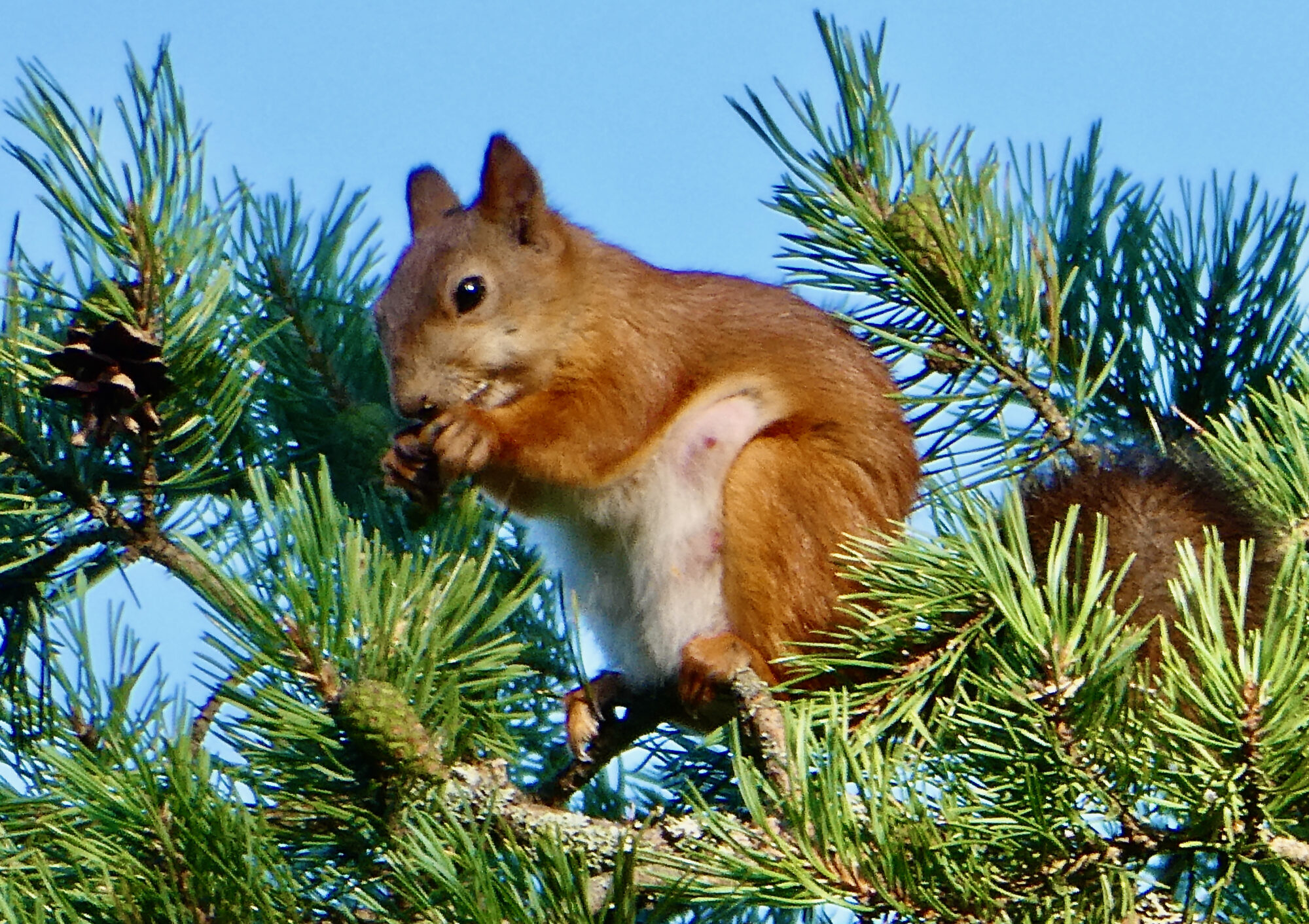 Valokuvaaja: Liisa Niiva-Korpela