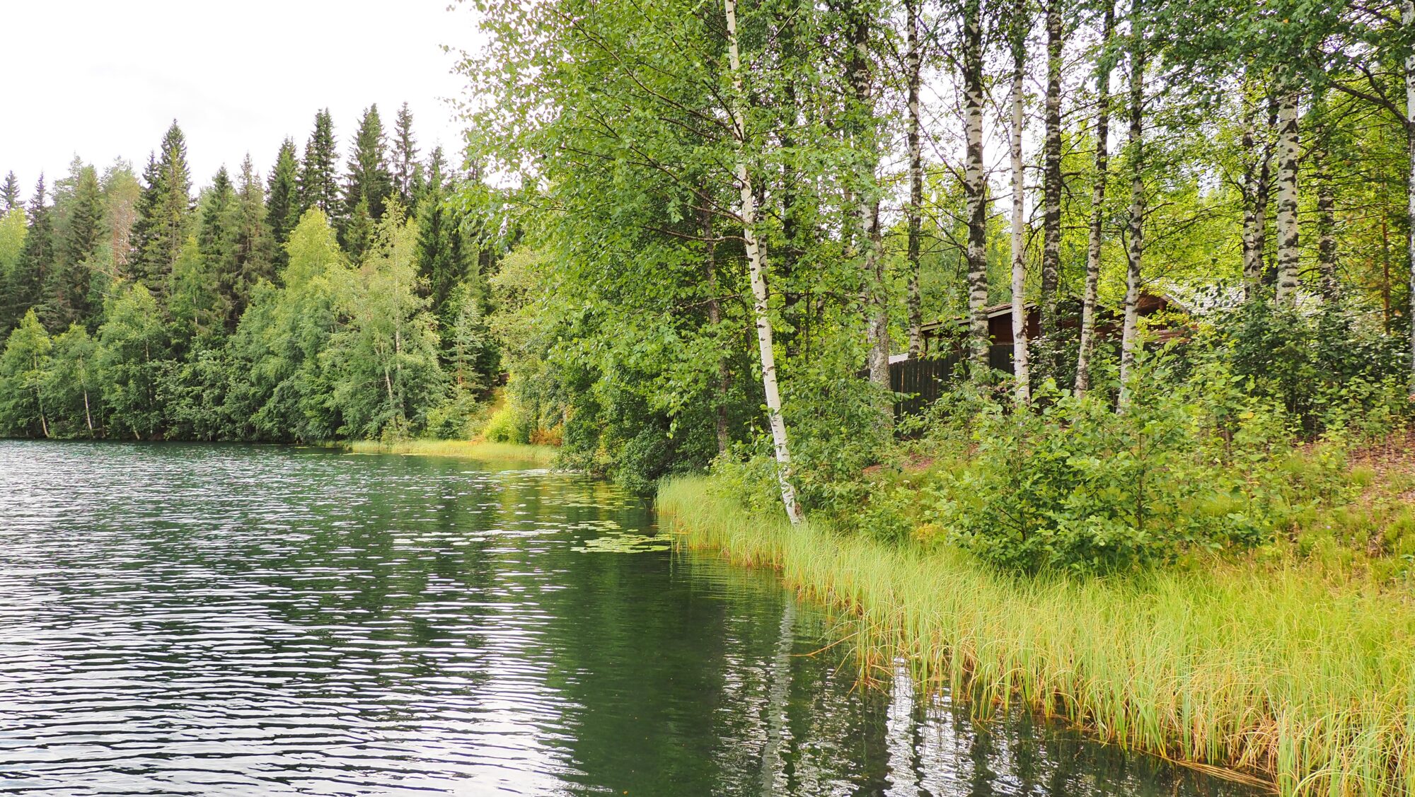 Valokuvaaja: Arja Valtonen Valokuvaaja: Arja Valtonen