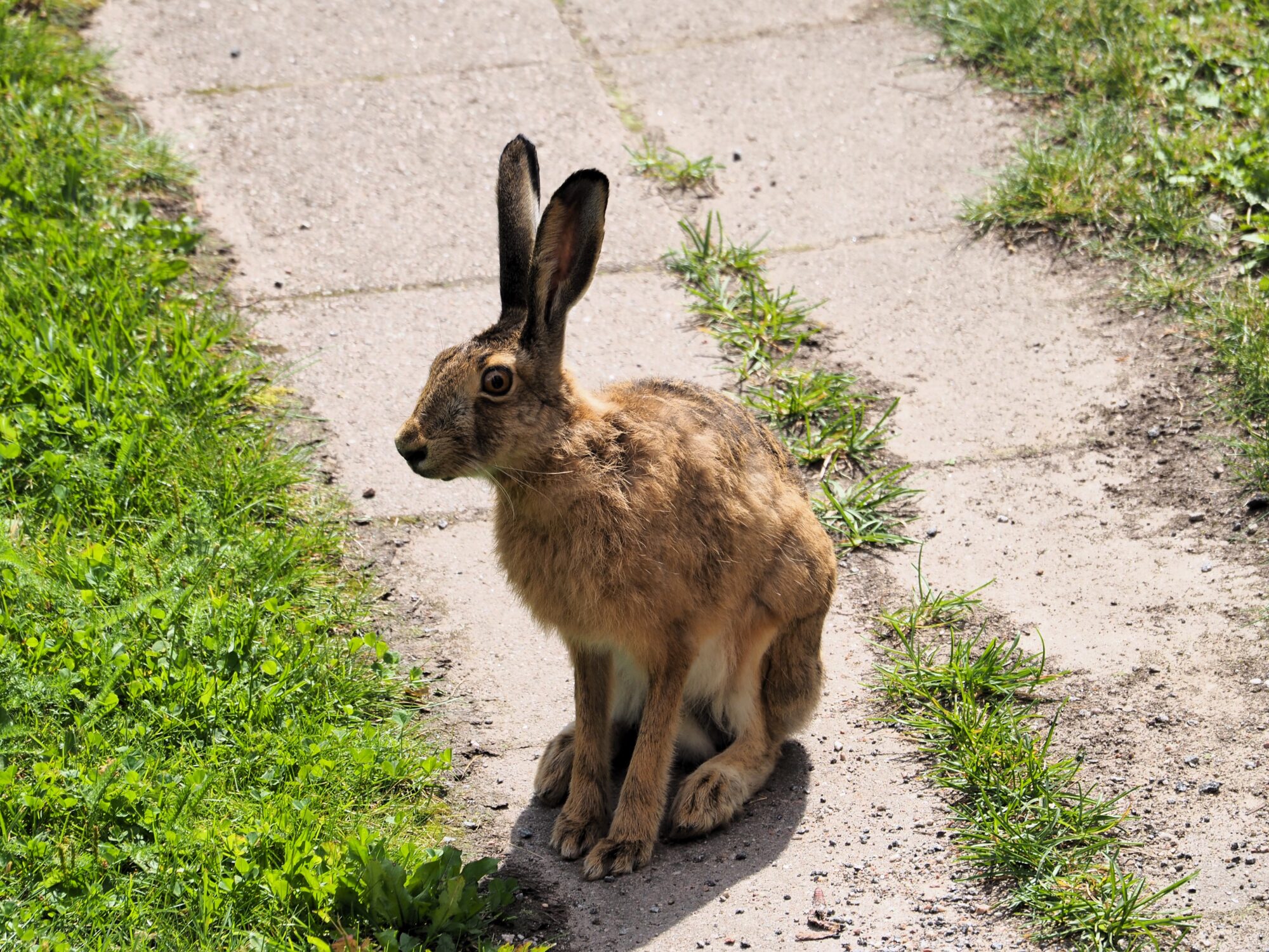 Valokuvaaja: Martti Valtonen Valokuvaaja: Martti Valtonen