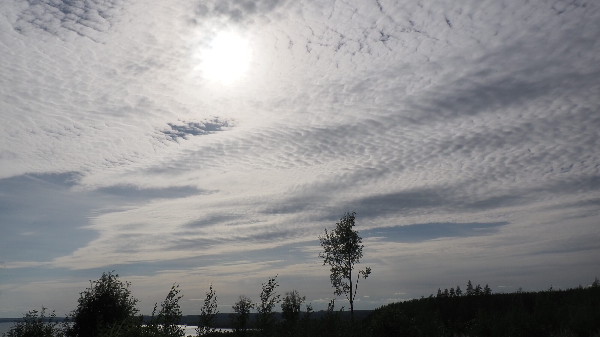 Valokuvaaja: Martti Valtonen