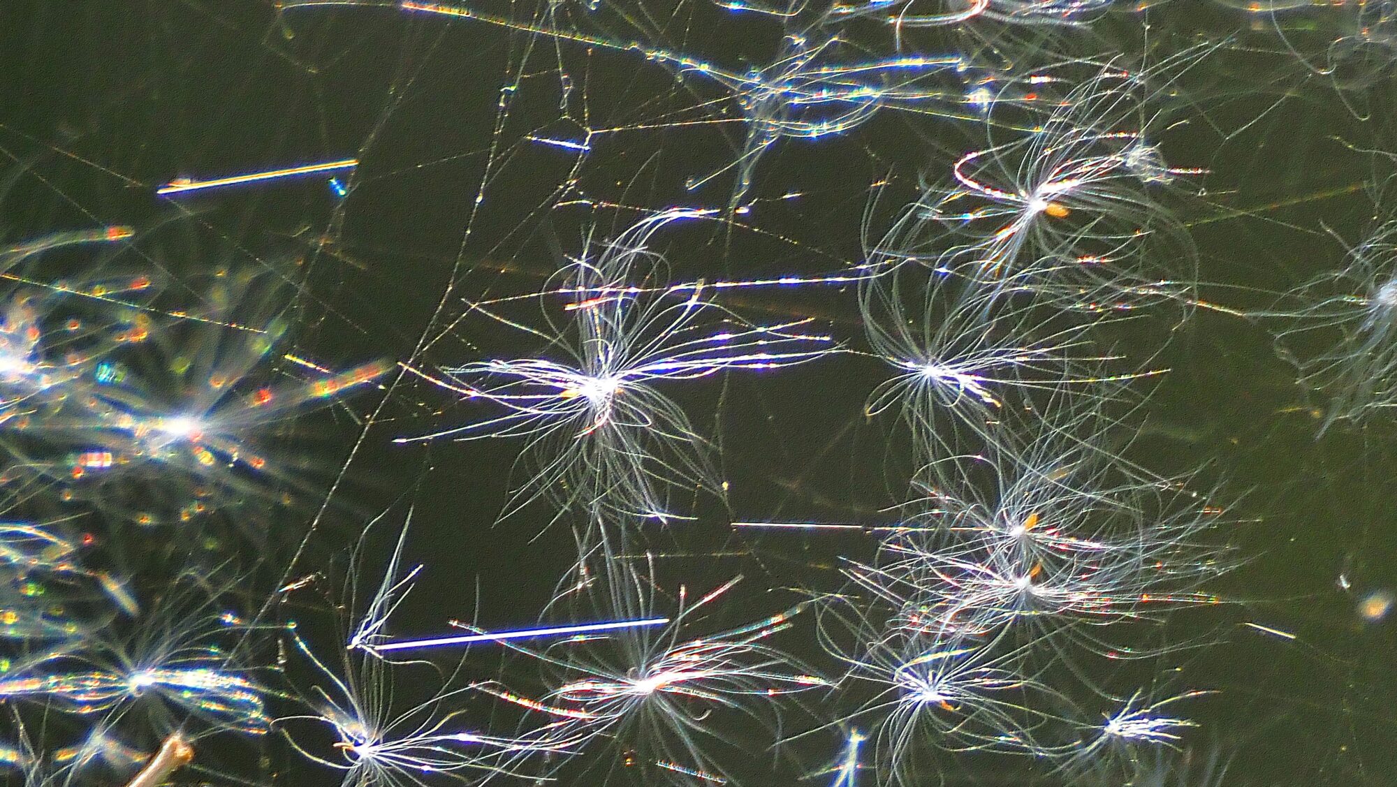 Valokuvaaja: Arja Valtonen