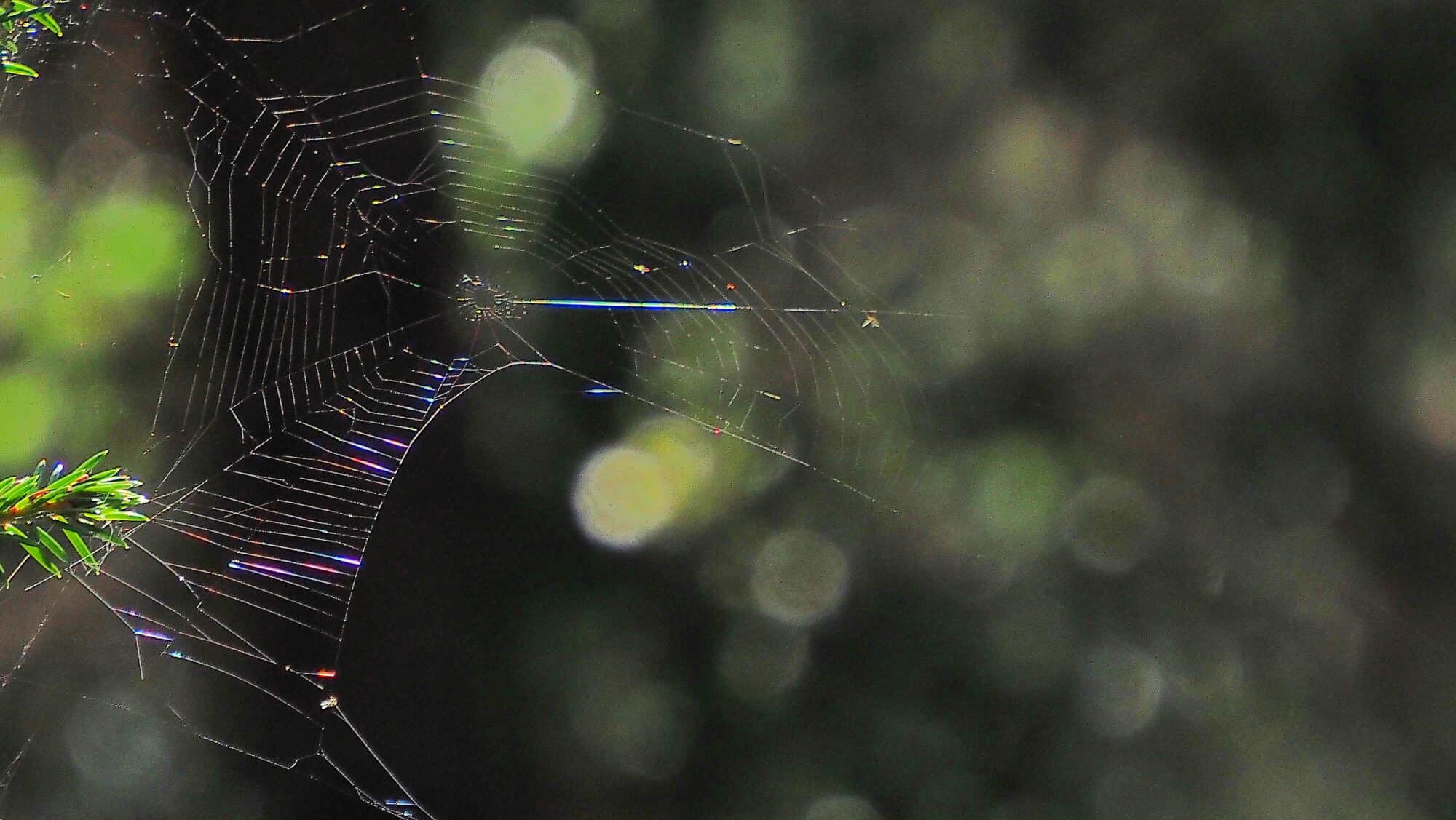 Valokuvaaja: Arja Valtonen