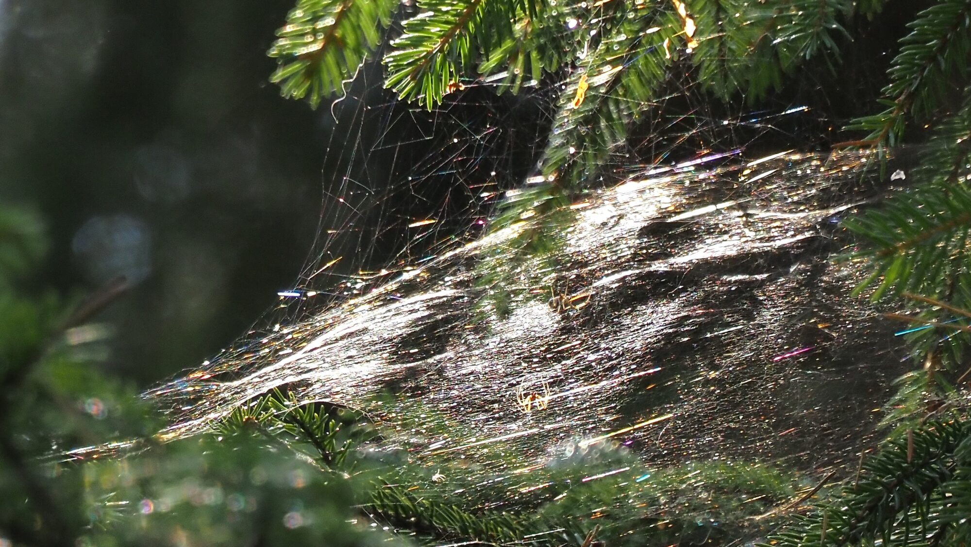 Valokuvaaja: Arja Valtonen