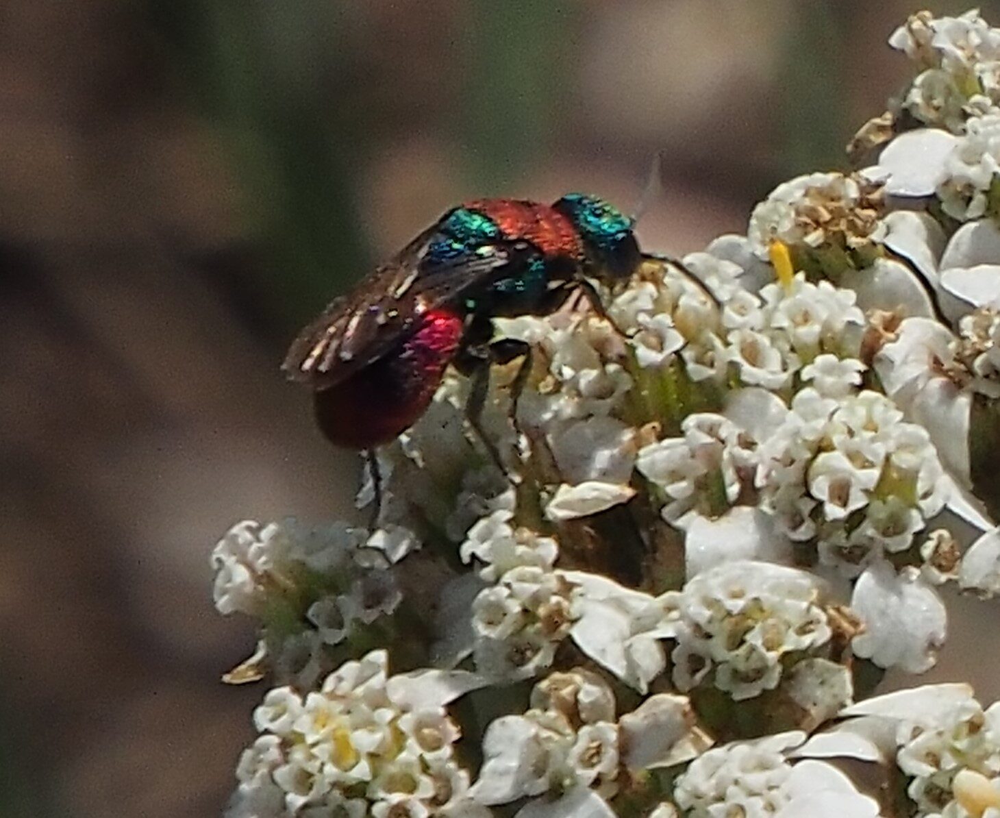 Valokuvaaja: Arja Valtonen