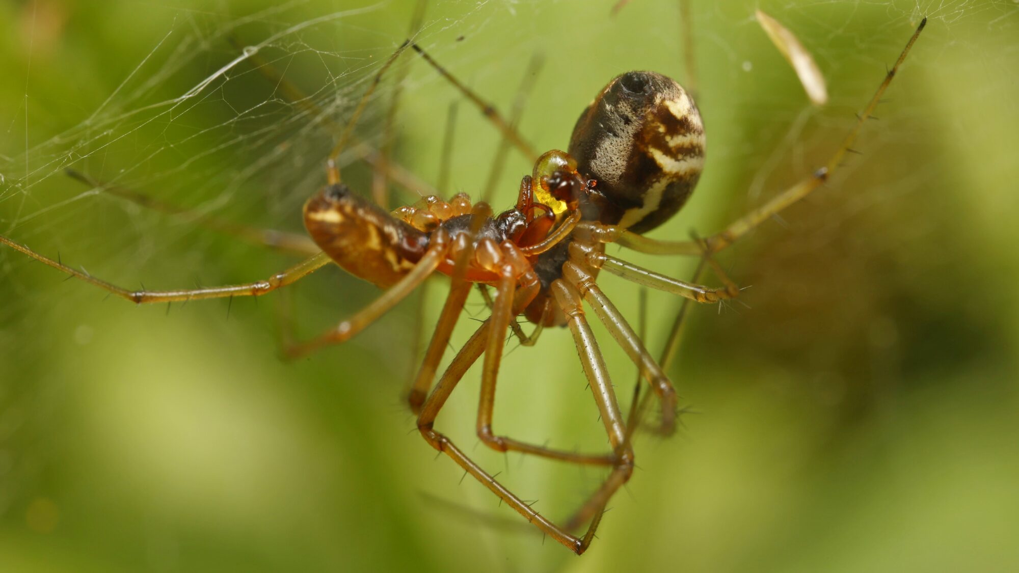 Valokuvaaja: TOMMI KUJALA Valokuvaaja: TOMMI KUJALA