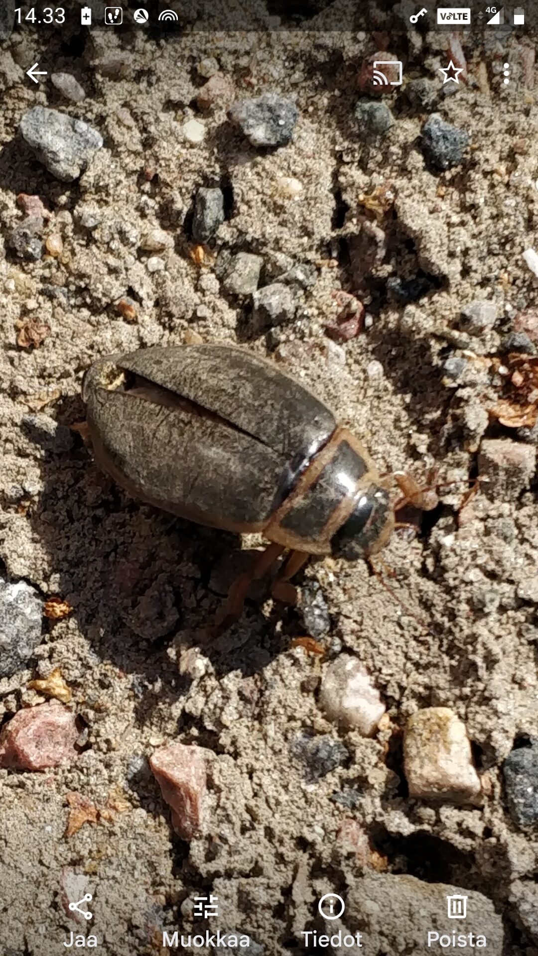 Valokuvaaja: Sirkku Viuhkonen