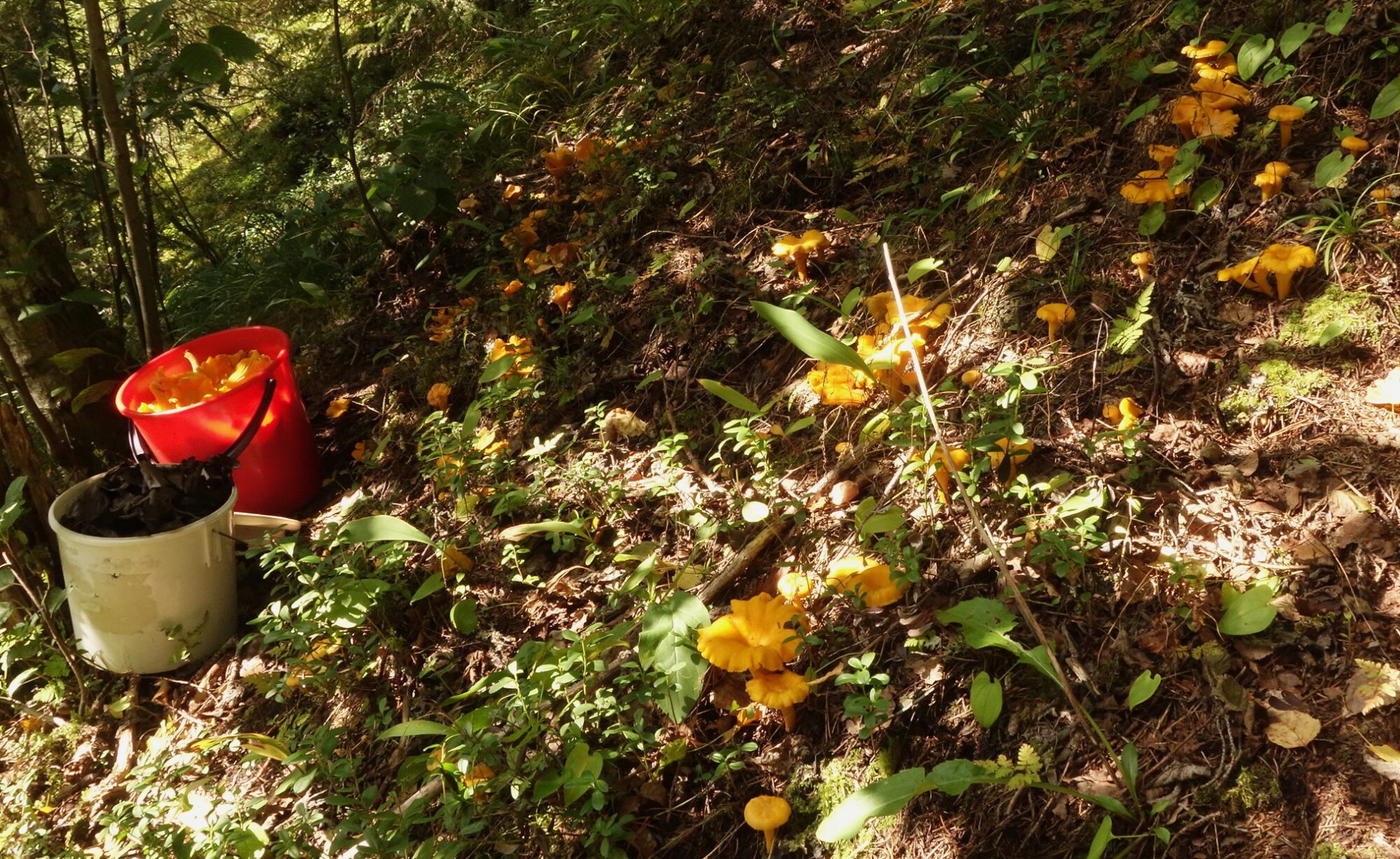 Valokuvaaja: Kaarina Heiskanen