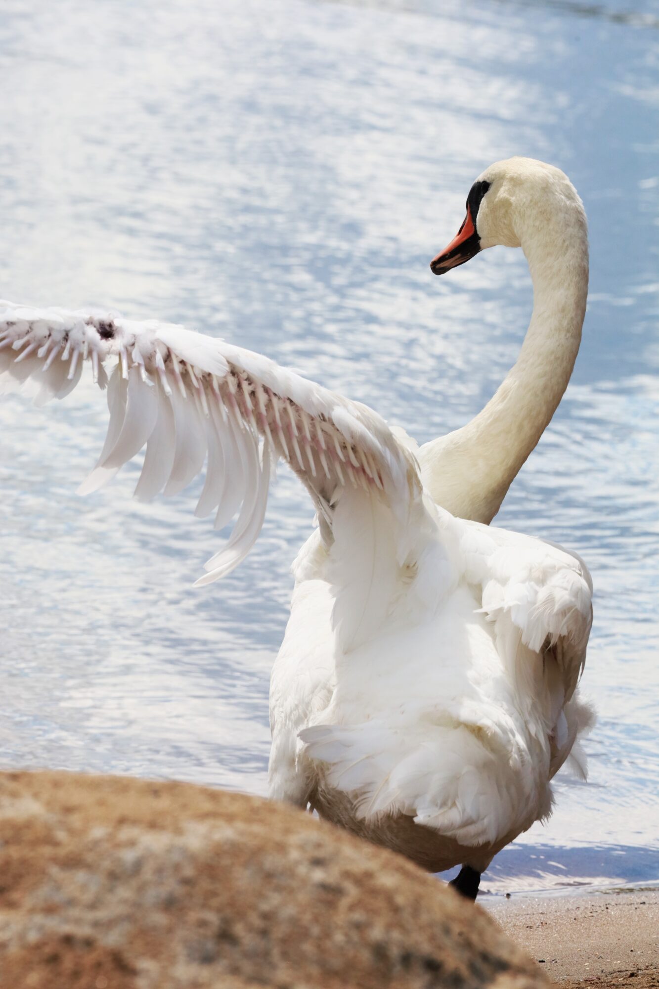 Valokuvaaja: Armi Järvinen