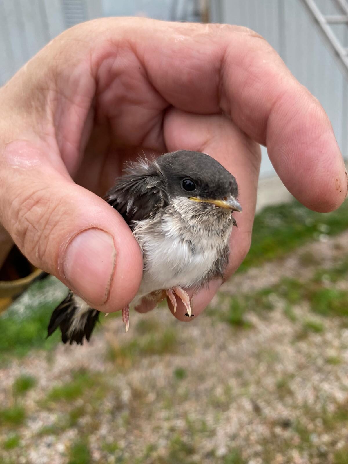 Valokuvaaja: Maija Sieppi
