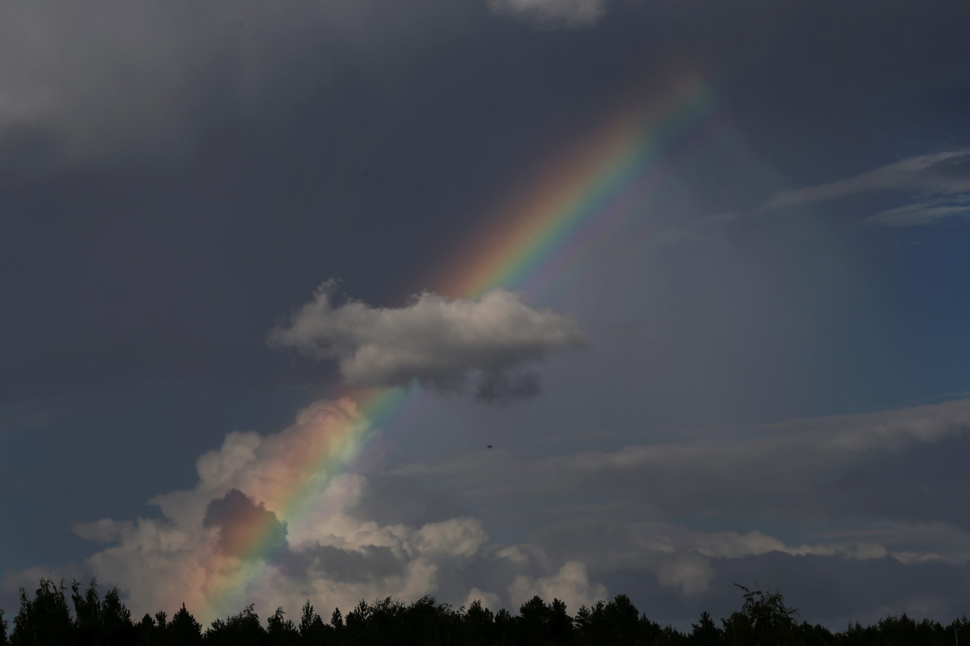 Valokuvaaja: Jaana Saarelainen