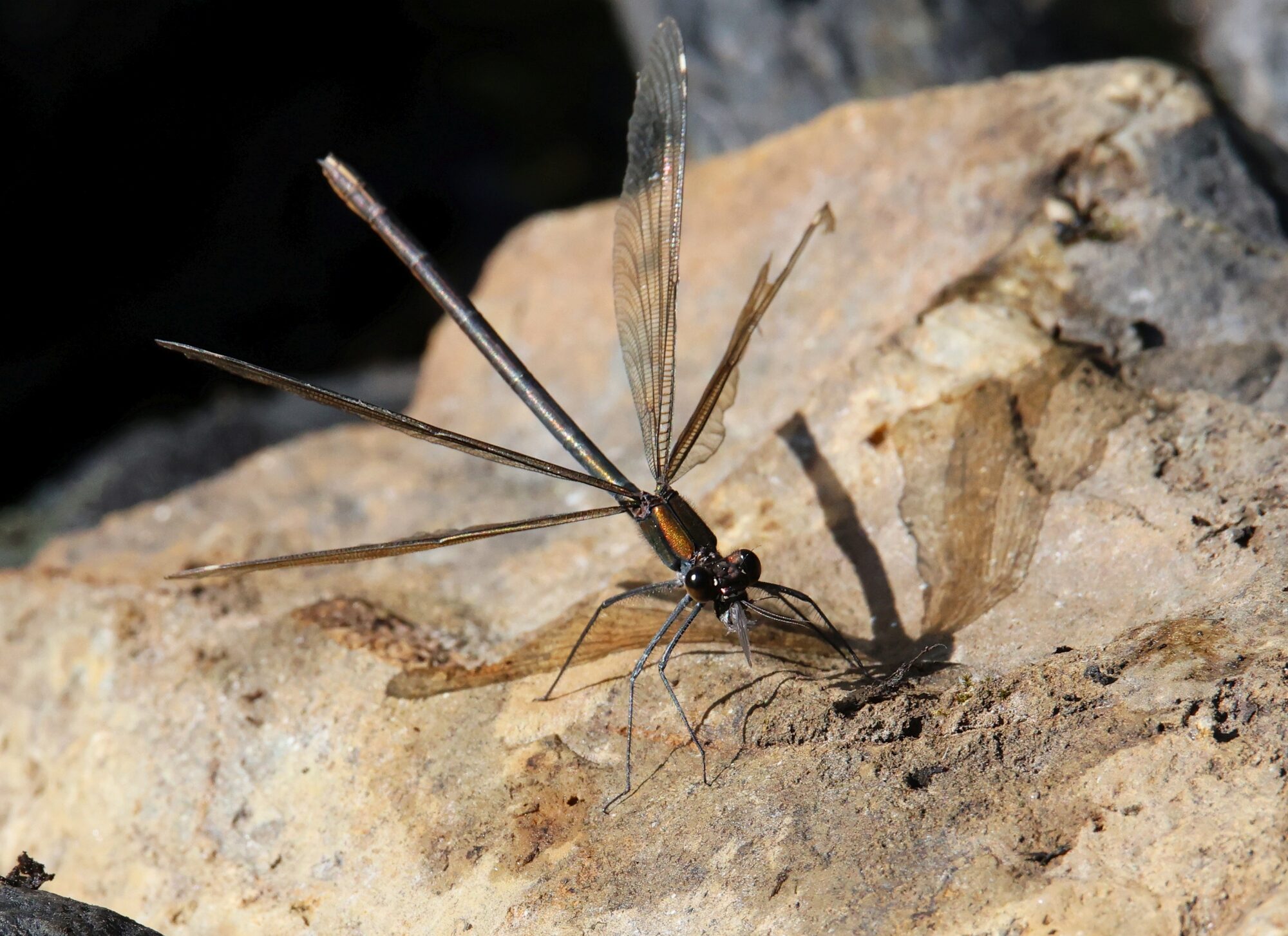 Valokuvaaja: Jaana Saarelainen