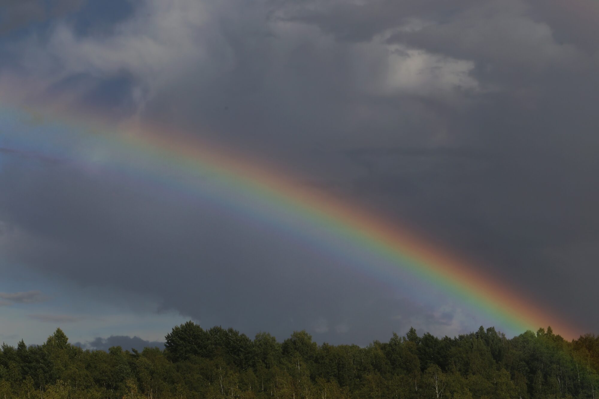 Valokuvaaja: Jaana Saarelainen
