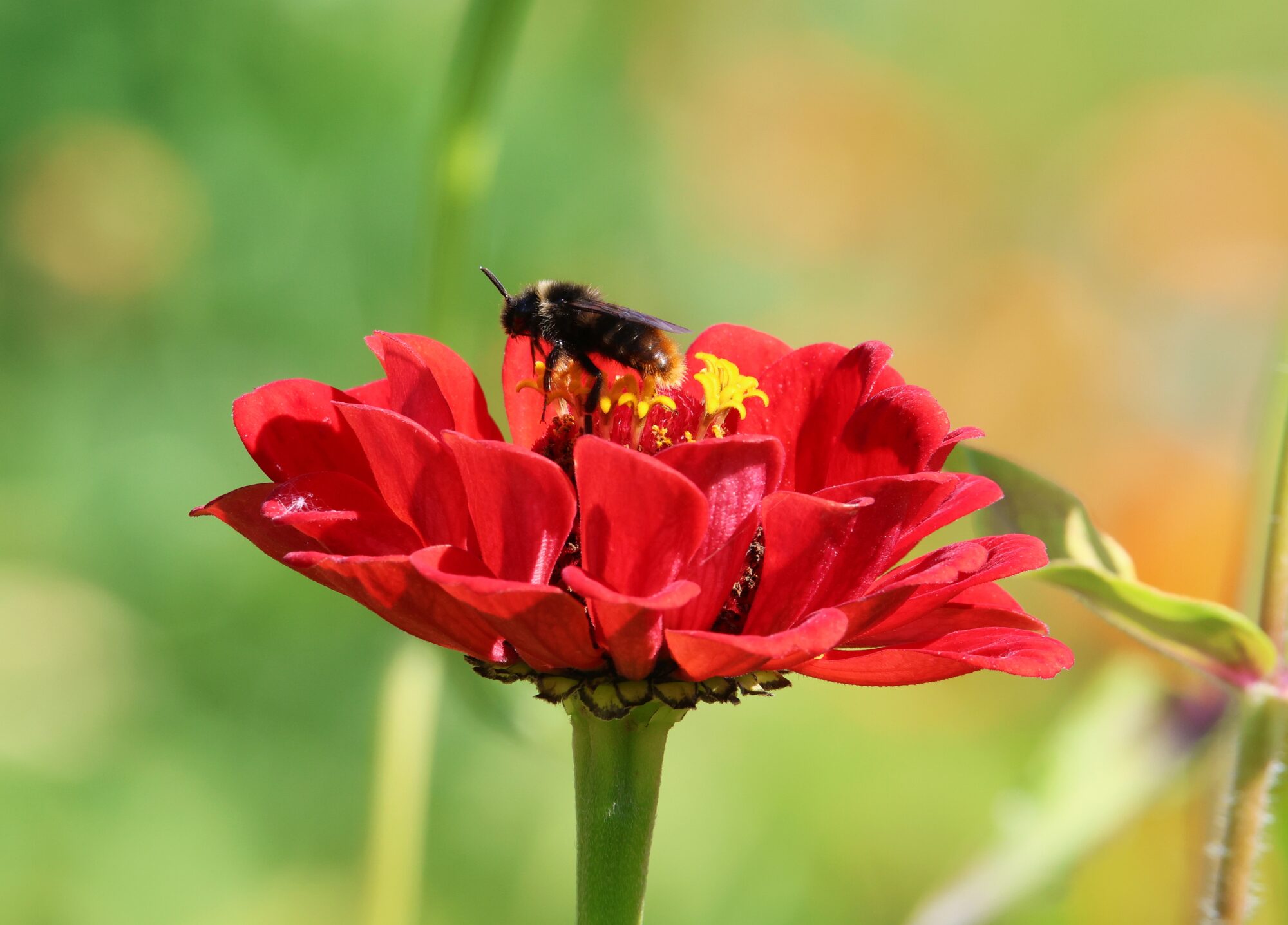 Valokuvaaja: Jaana Saarelainen