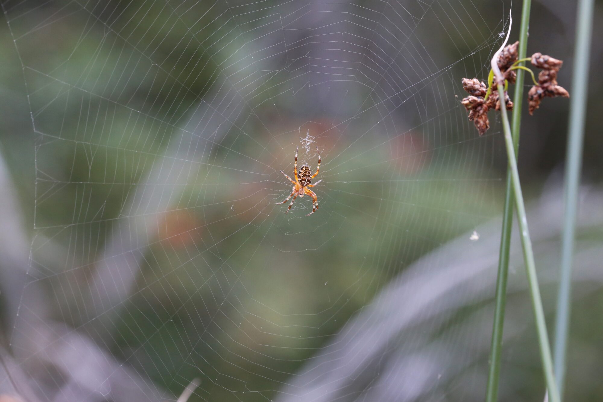 Valokuvaaja: Jaana Saarelainen