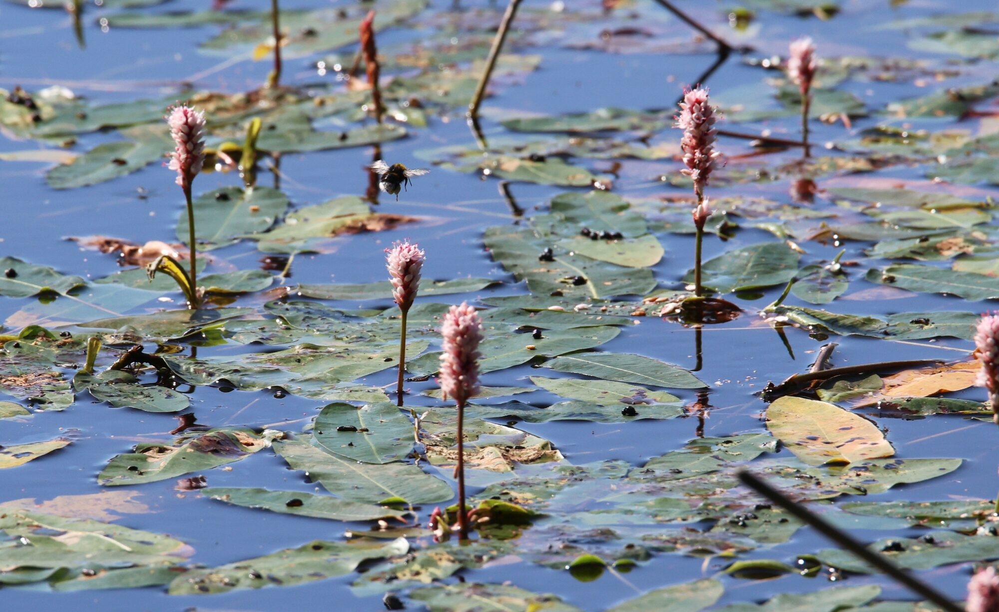 Valokuvaaja: Jaana Saarelainen