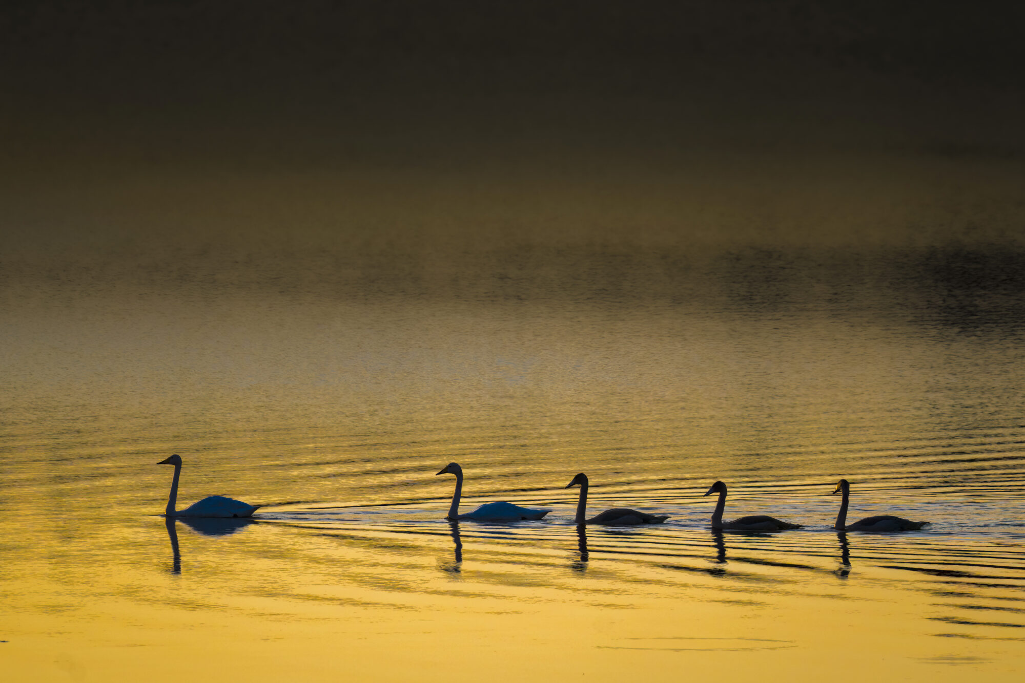 Valokuvaaja: Risto Lavi Valokuvaaja: Risto Lavi