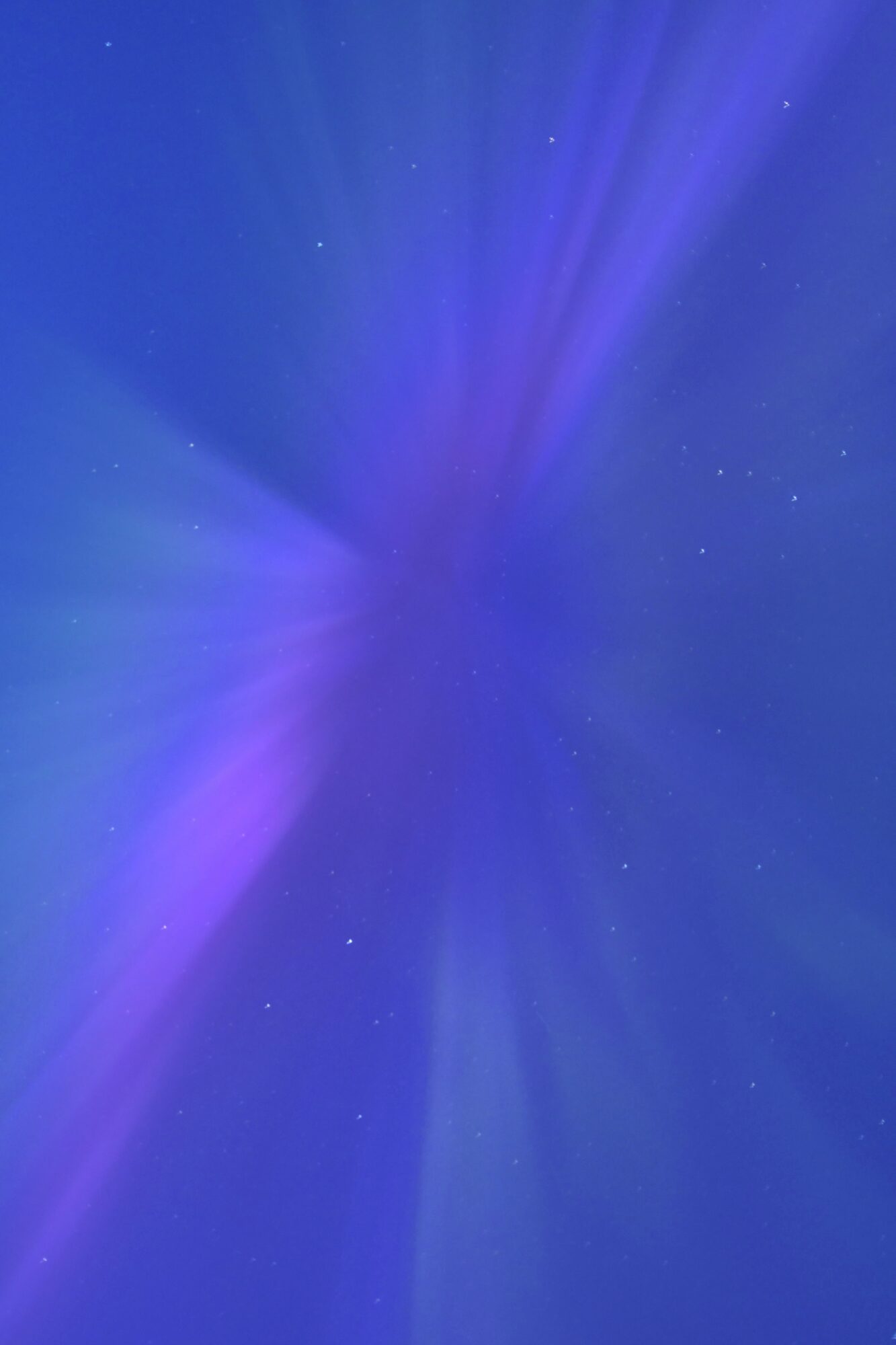 Valokuvaaja: Ritva Pietikäinen