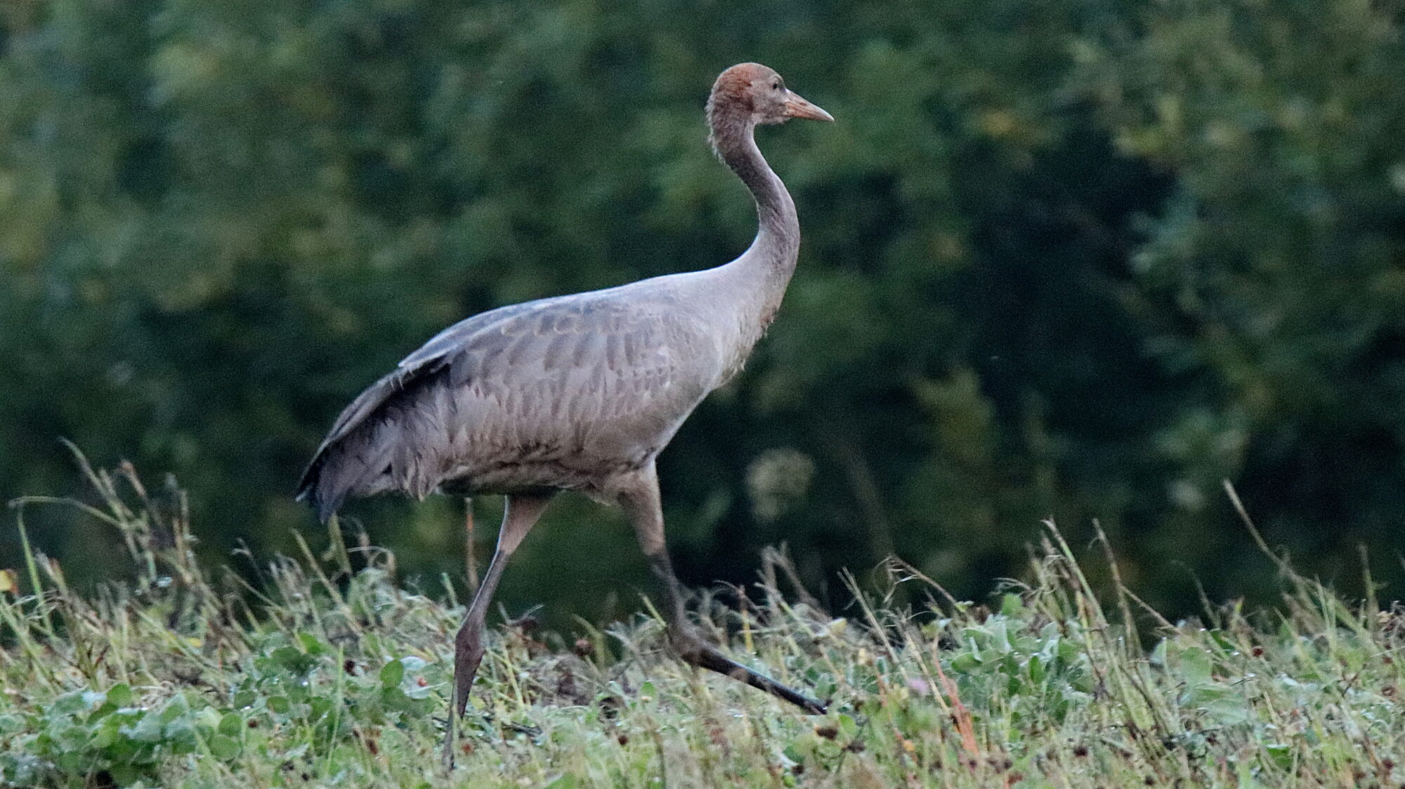 Valokuvaaja: sirpa Jyske