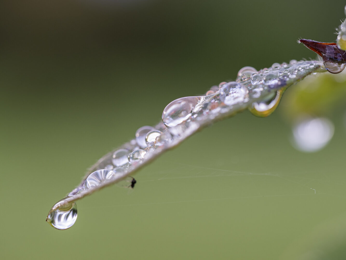 Valokuvaaja: Hannu Tikkanen