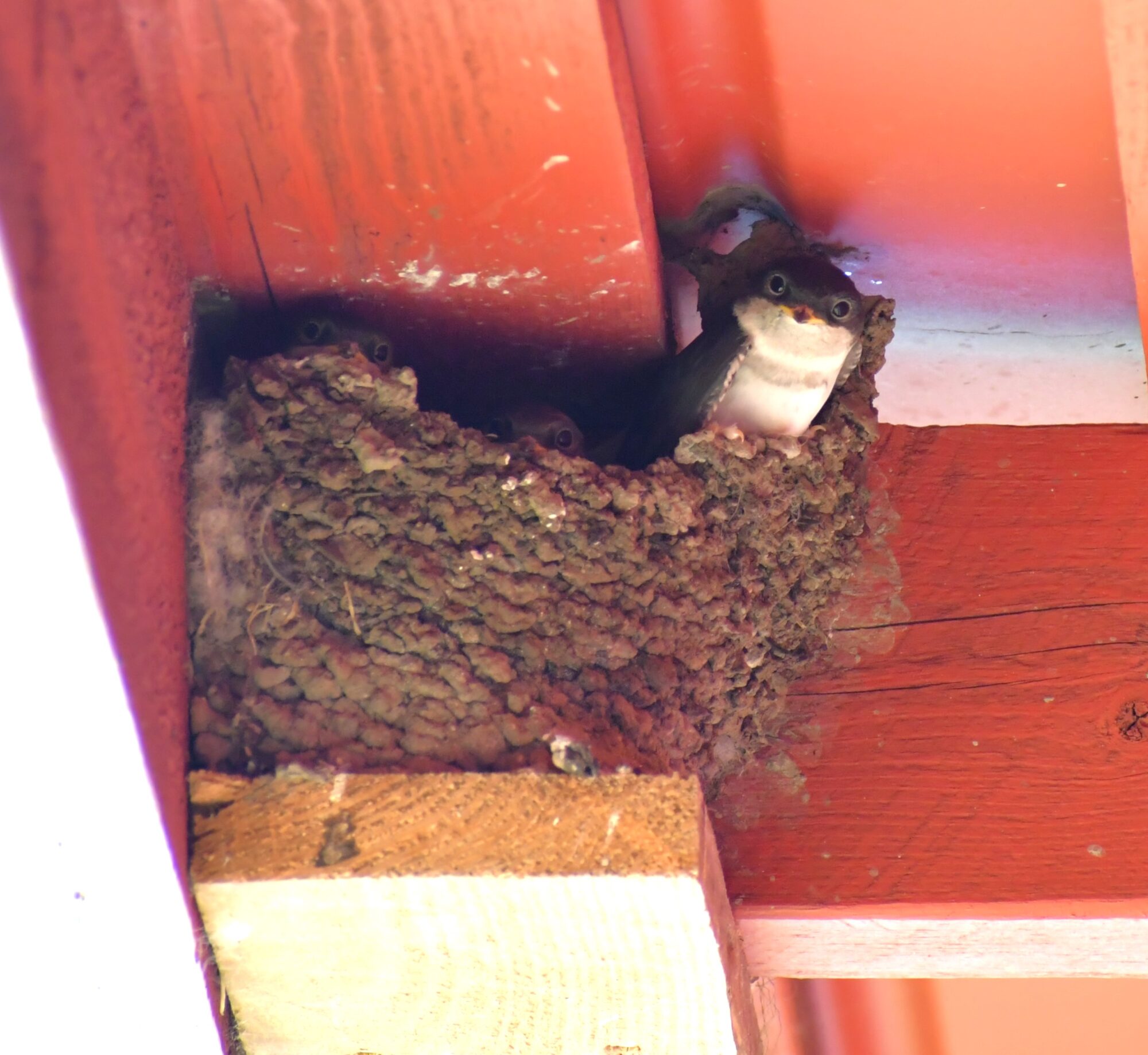 Valokuvaaja: Ritva Pietikäinen Valokuvaaja: Ritva Pietikäinen