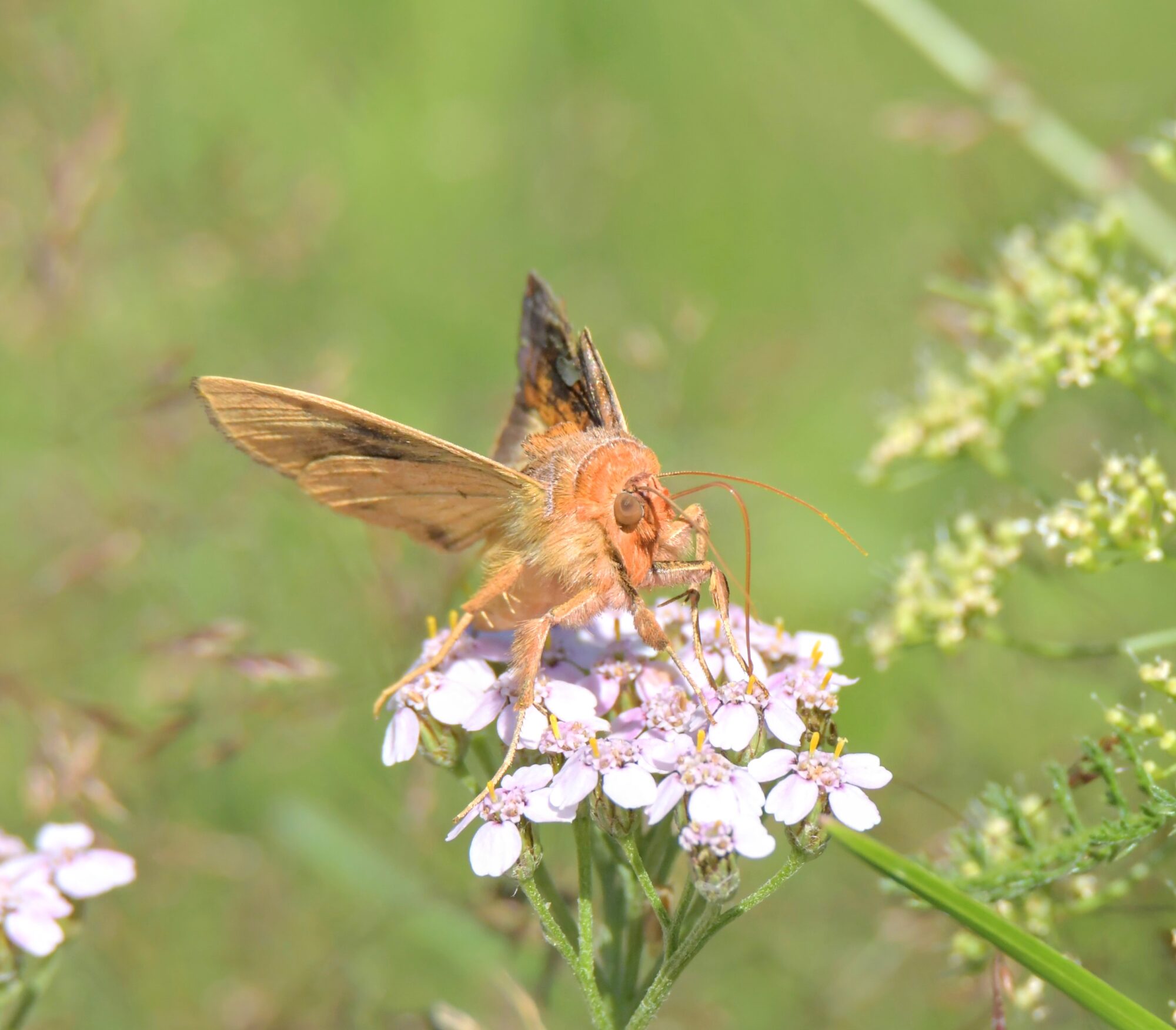 Valokuvaaja: Ritva Pietikäinen