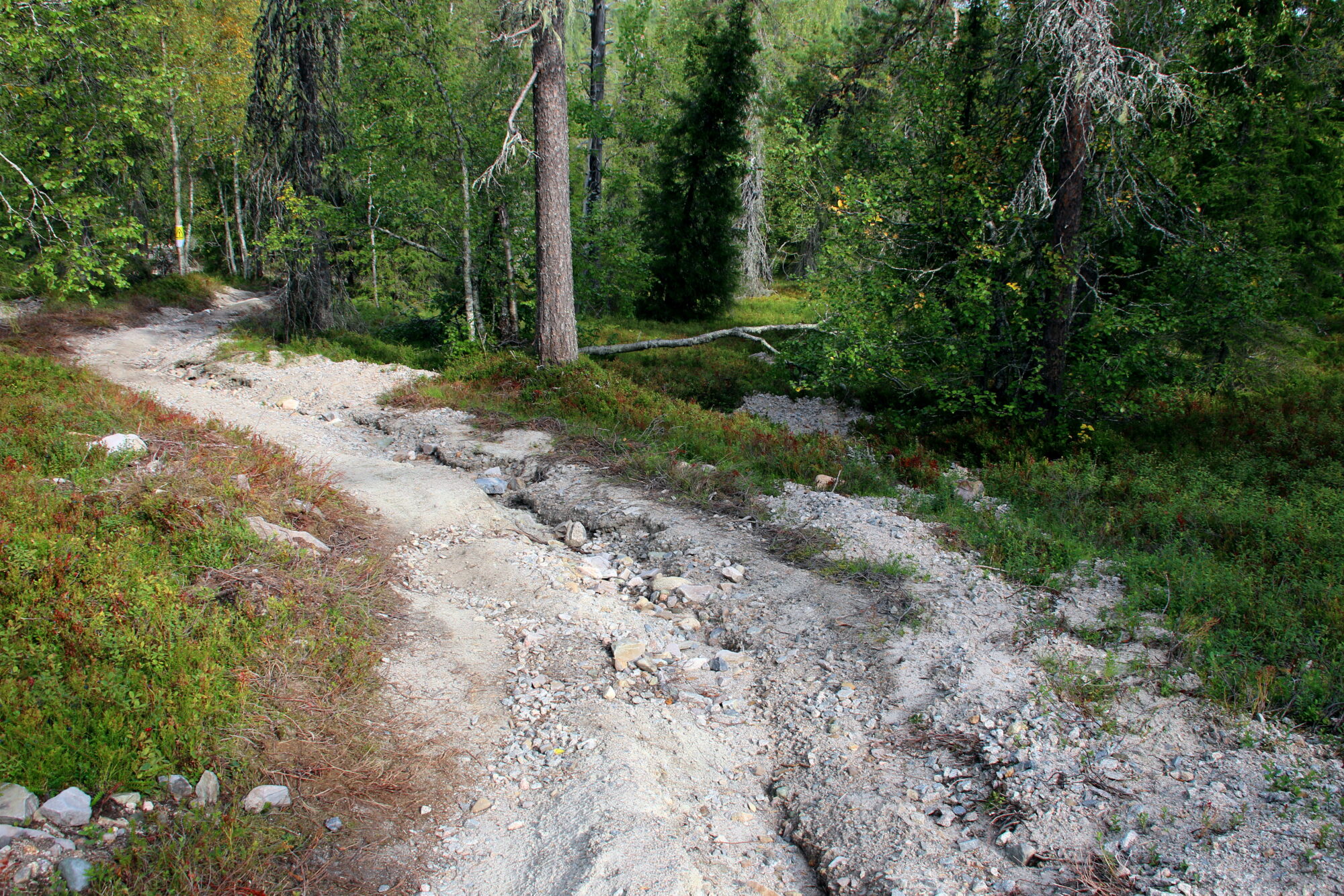Valokuvaaja: Tuukka Pahtamaa Valokuvaaja: Tuukka Pahtamaa