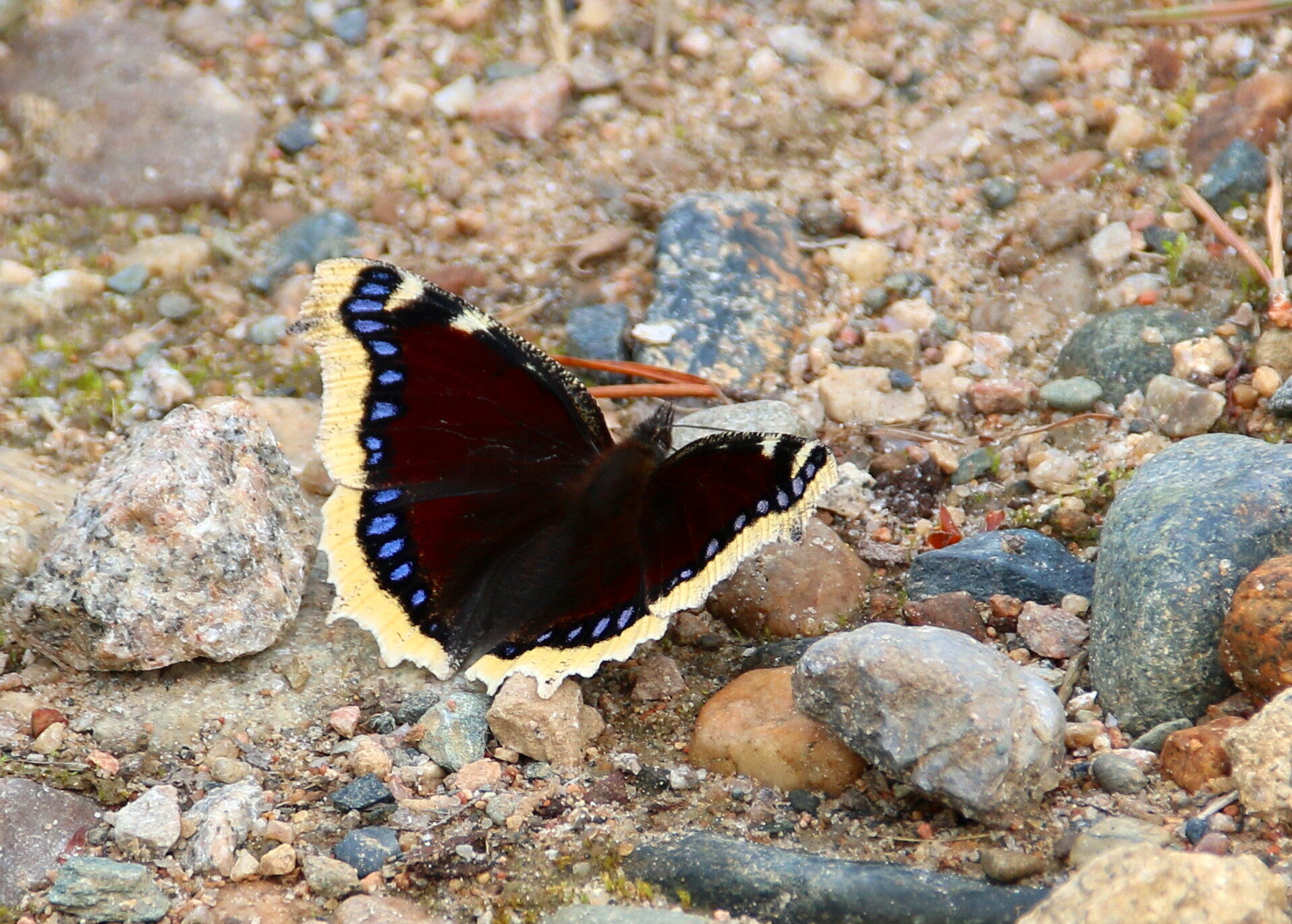 Valokuvaaja: Tuukka Pahtamaa Valokuvaaja: Tuukka Pahtamaa