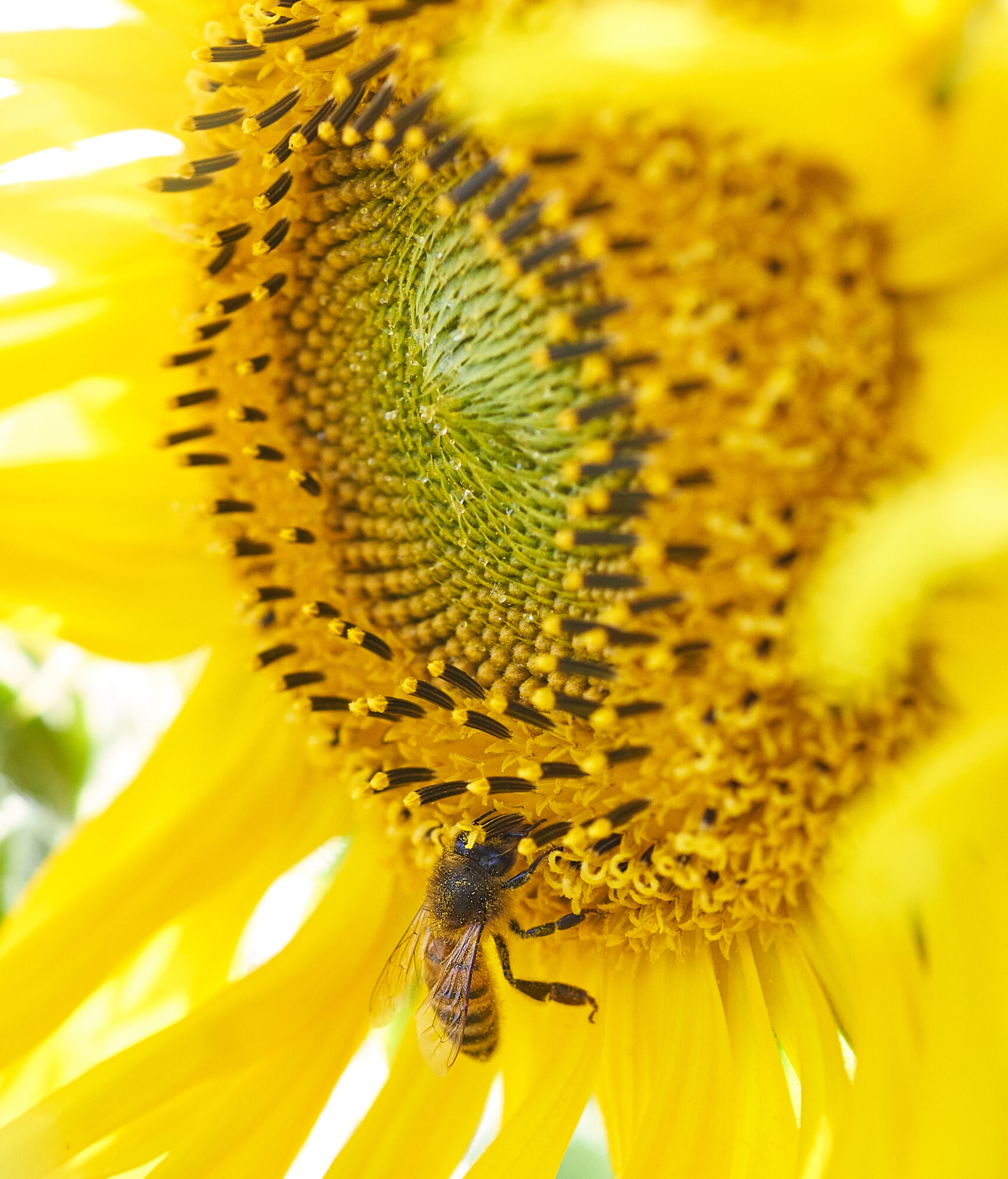 Valokuvaaja: Tarja Kouvo