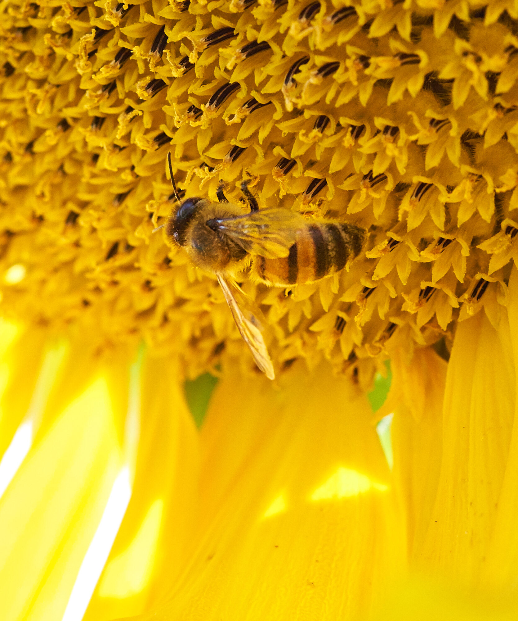 Valokuvaaja: Tarja Kouvo