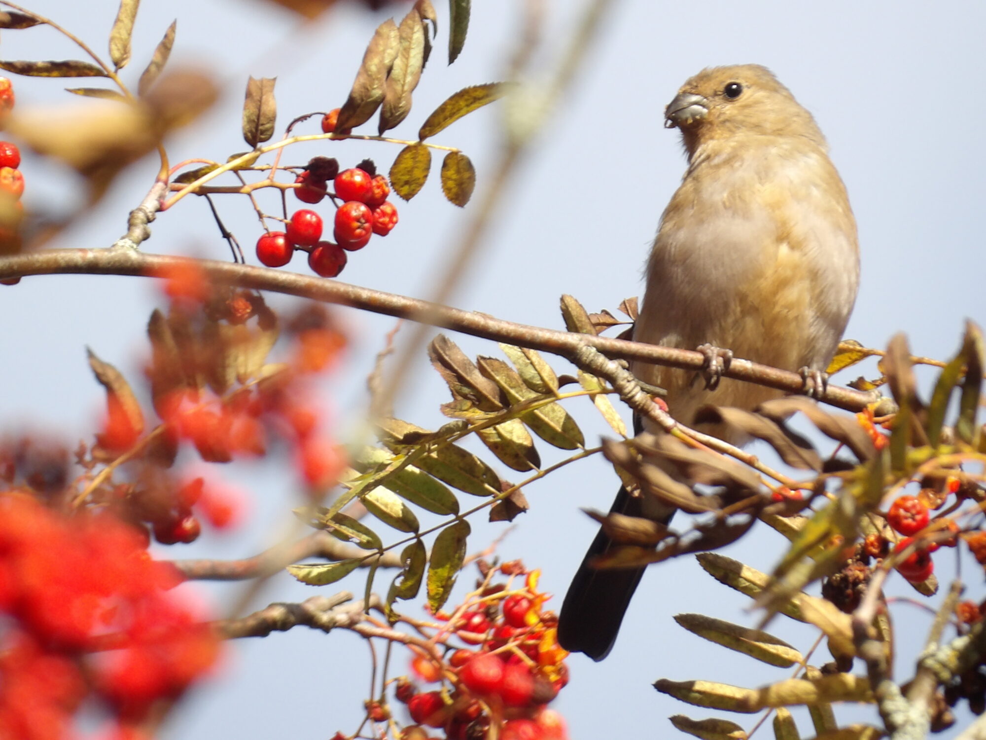 Valokuvaaja: Salla Kumpulainen