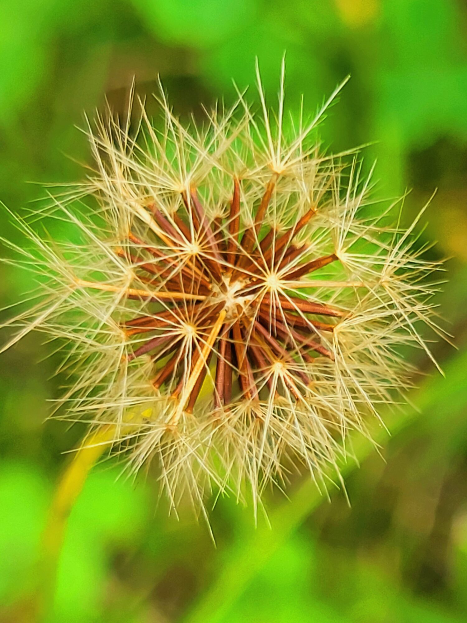 Valokuvaaja: Linnea Valtonen