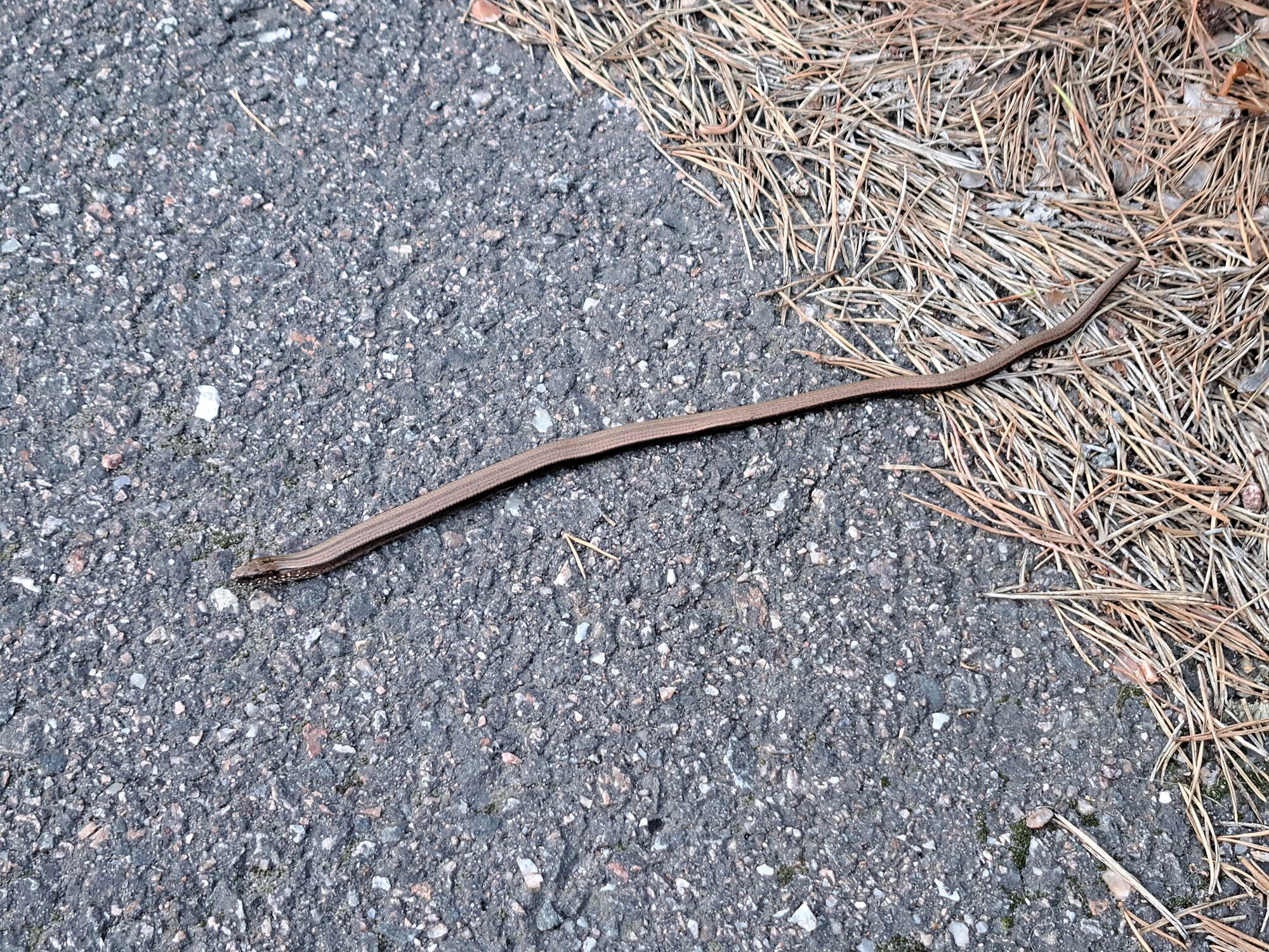 Valokuvaaja: Jukka Maunumäki