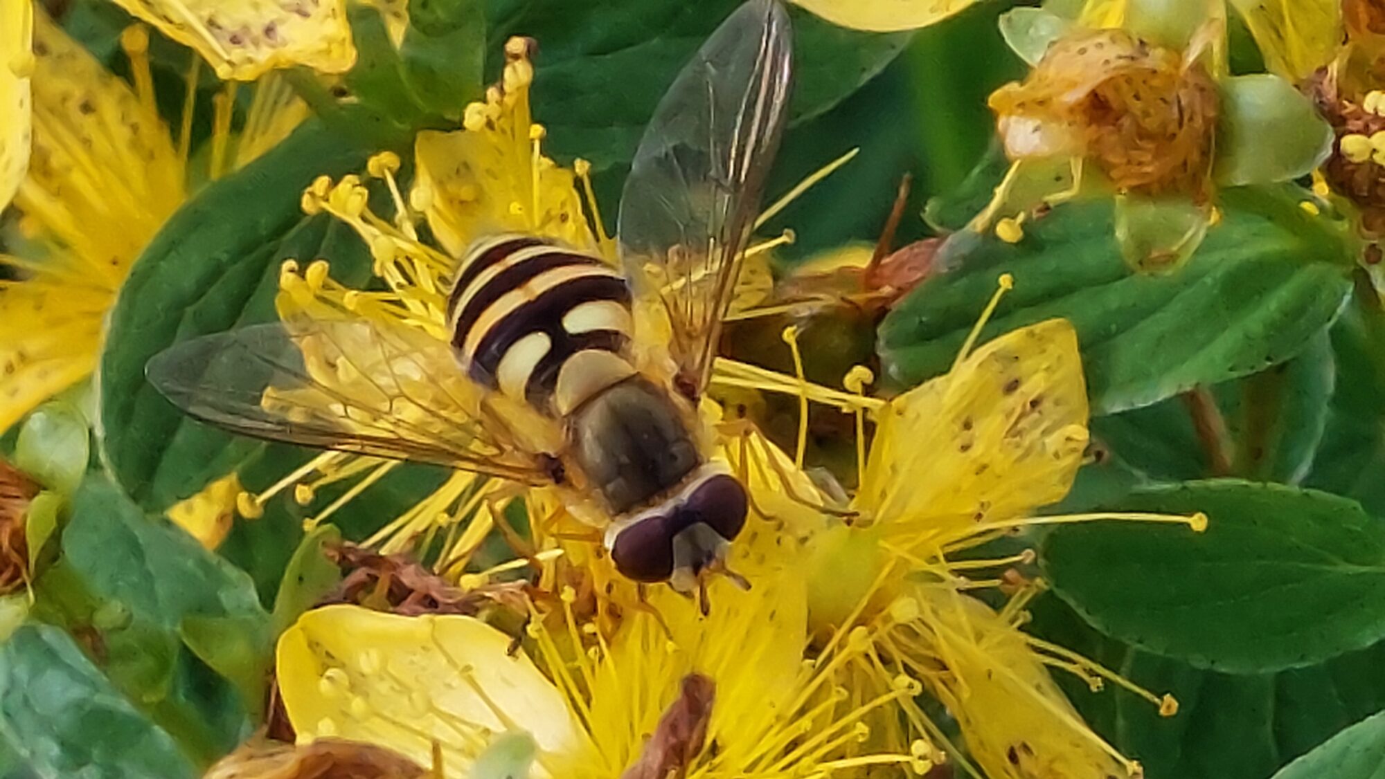 Valokuvaaja: Tarja Naukkarinen