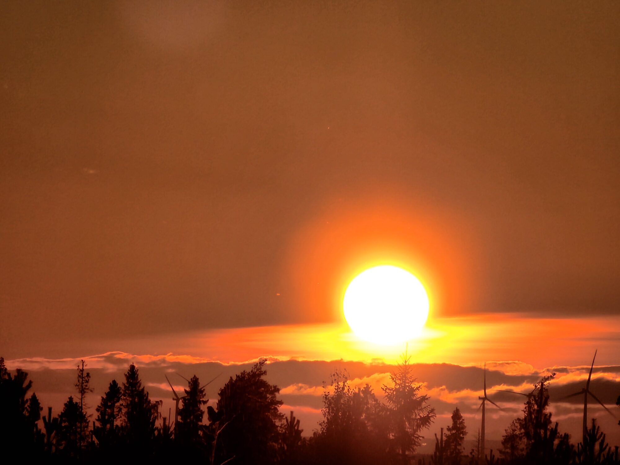 Valokuvaaja: Hannu Rissanen Valokuvaaja: Hannu Rissanen