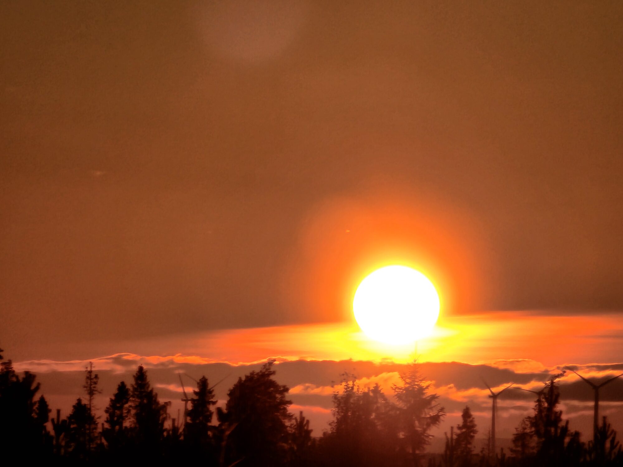 Valokuvaaja: Hannu Rissanen