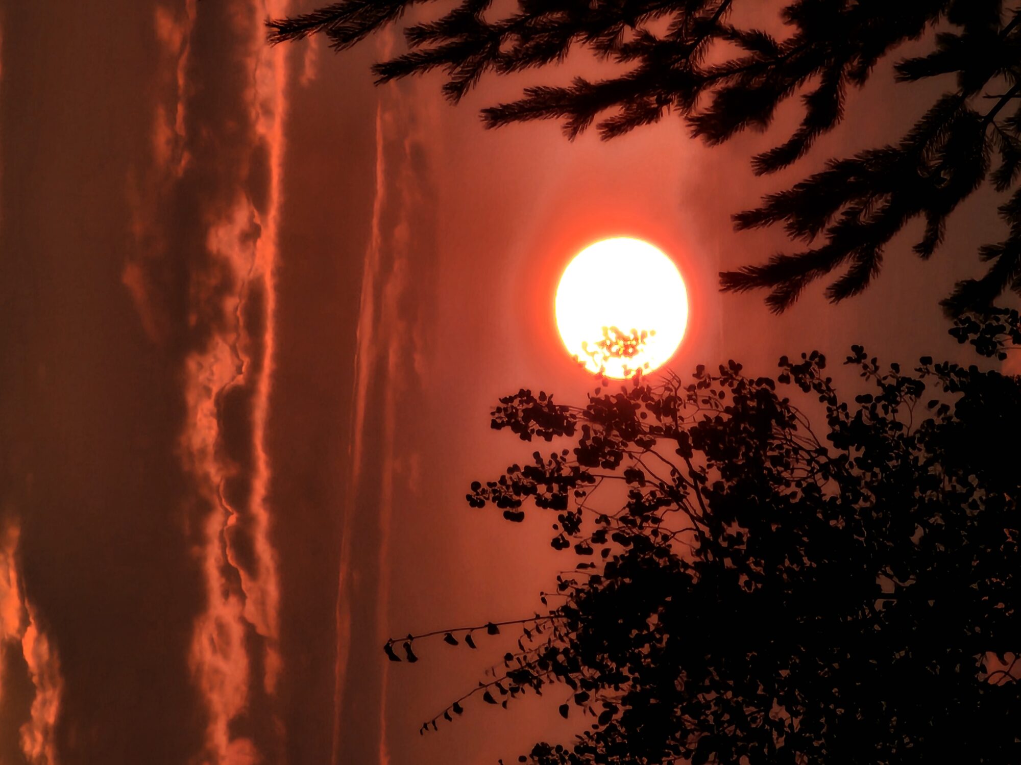 Valokuvaaja: Hannu Rissanen