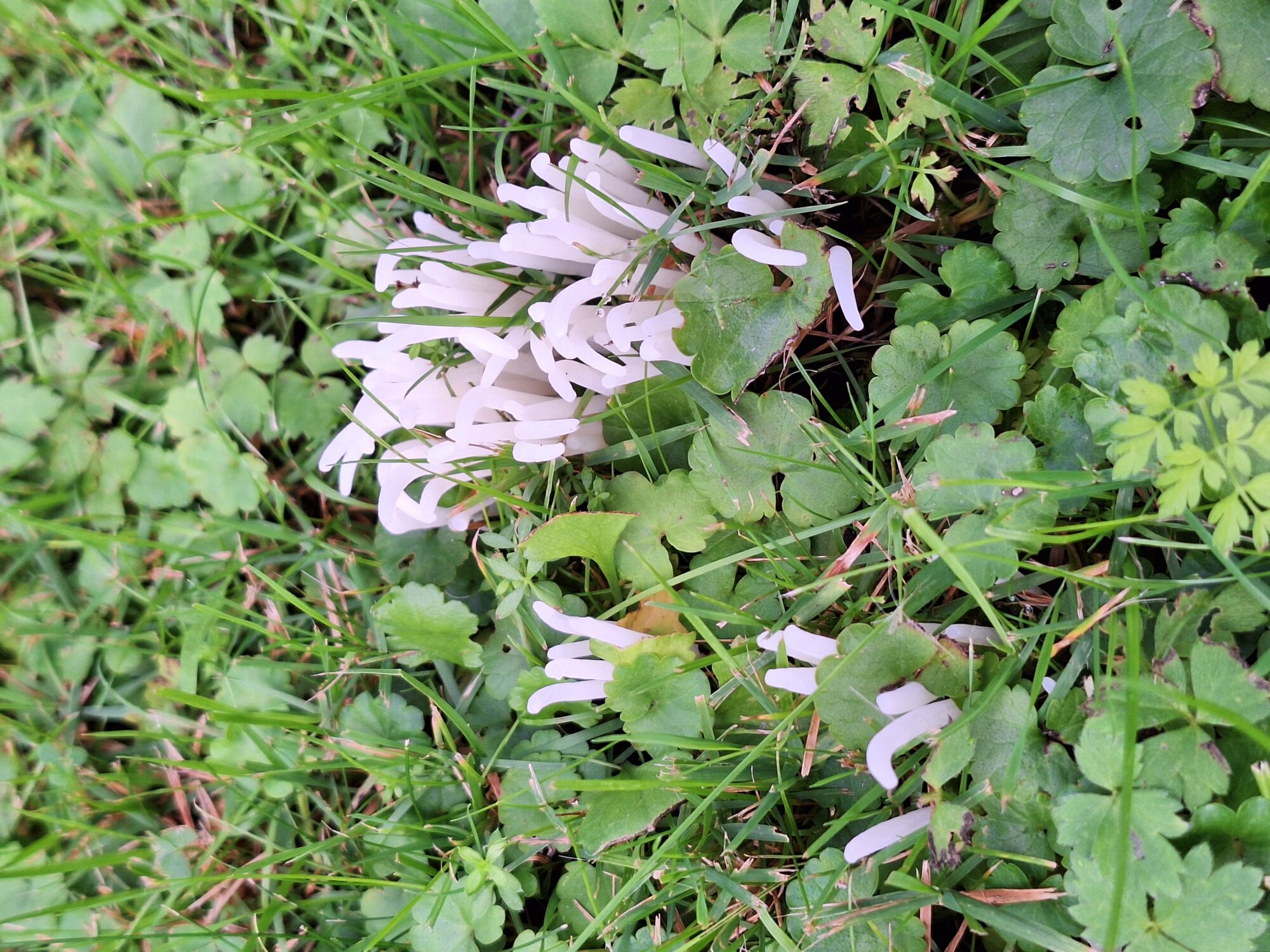 Valokuvaaja: Outi Laukkanen