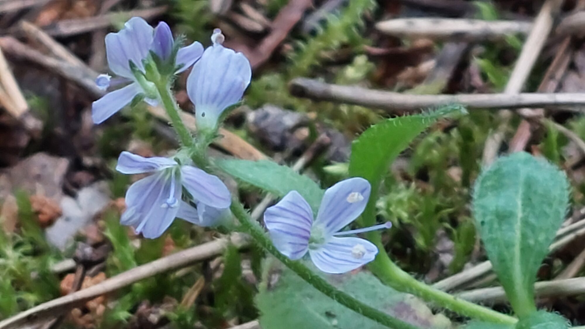Valokuvaaja: Tarja Naukkarinen