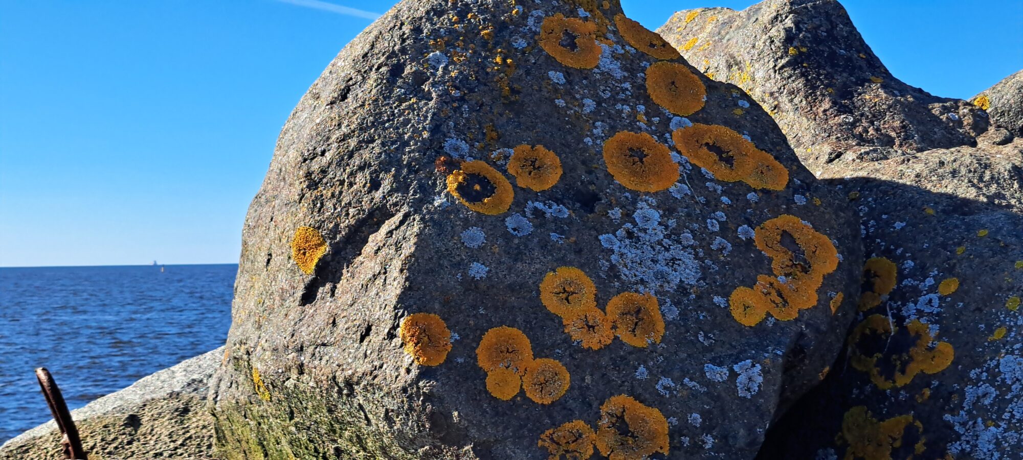 Valokuvaaja: Irja Lehtinen