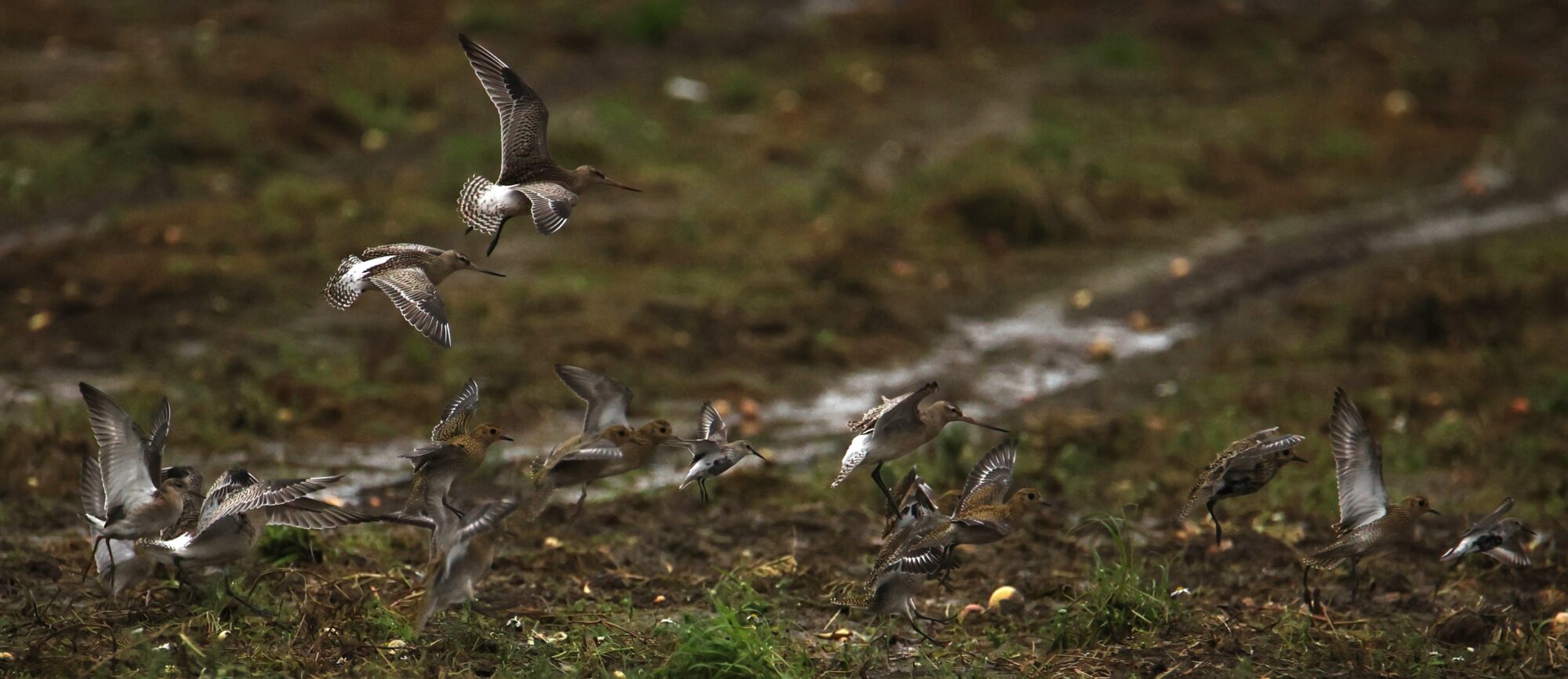 Valokuvaaja: Kaarina Heiskanen