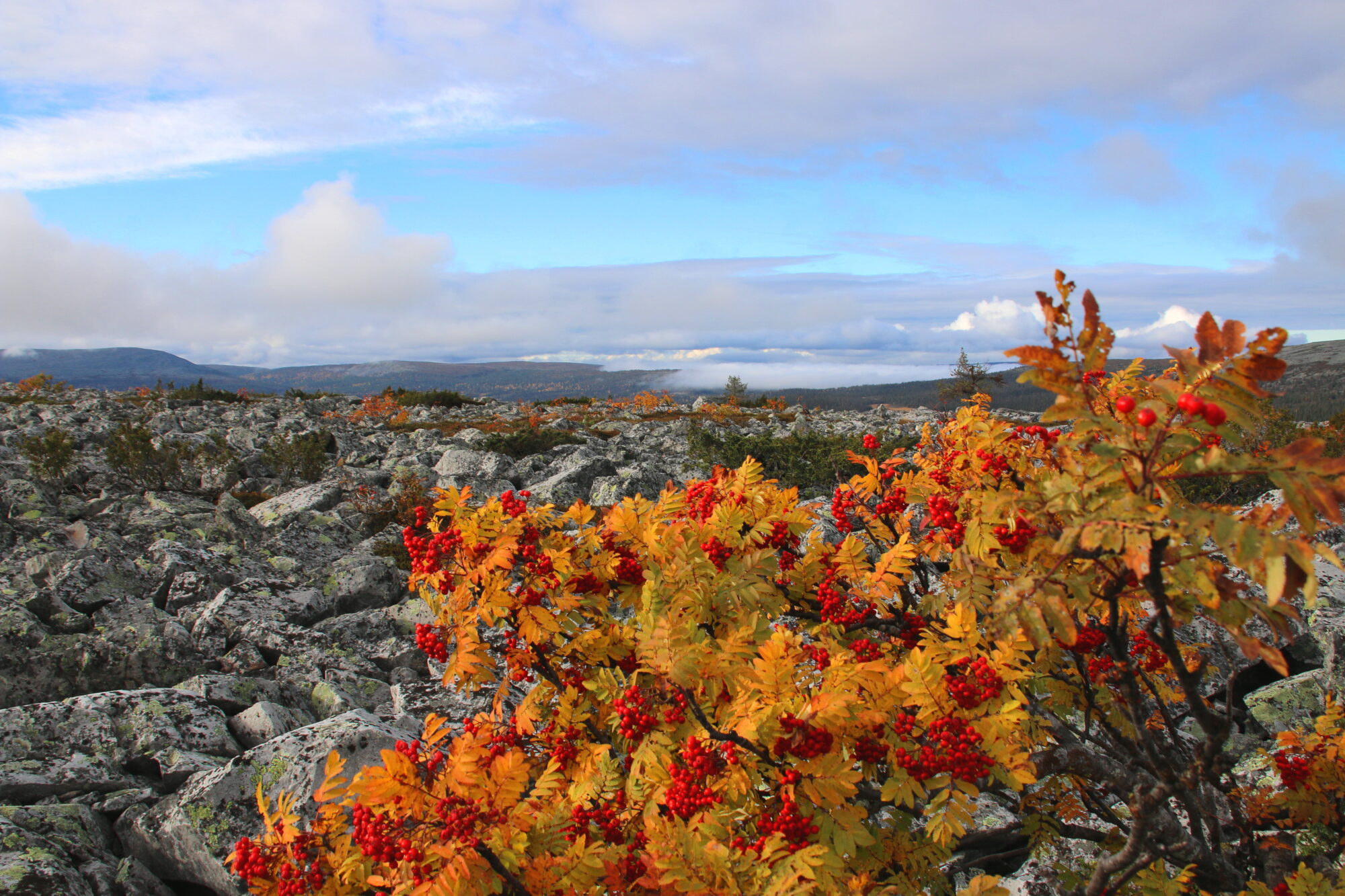 Valokuvaaja: Tuukka Pahtamaa