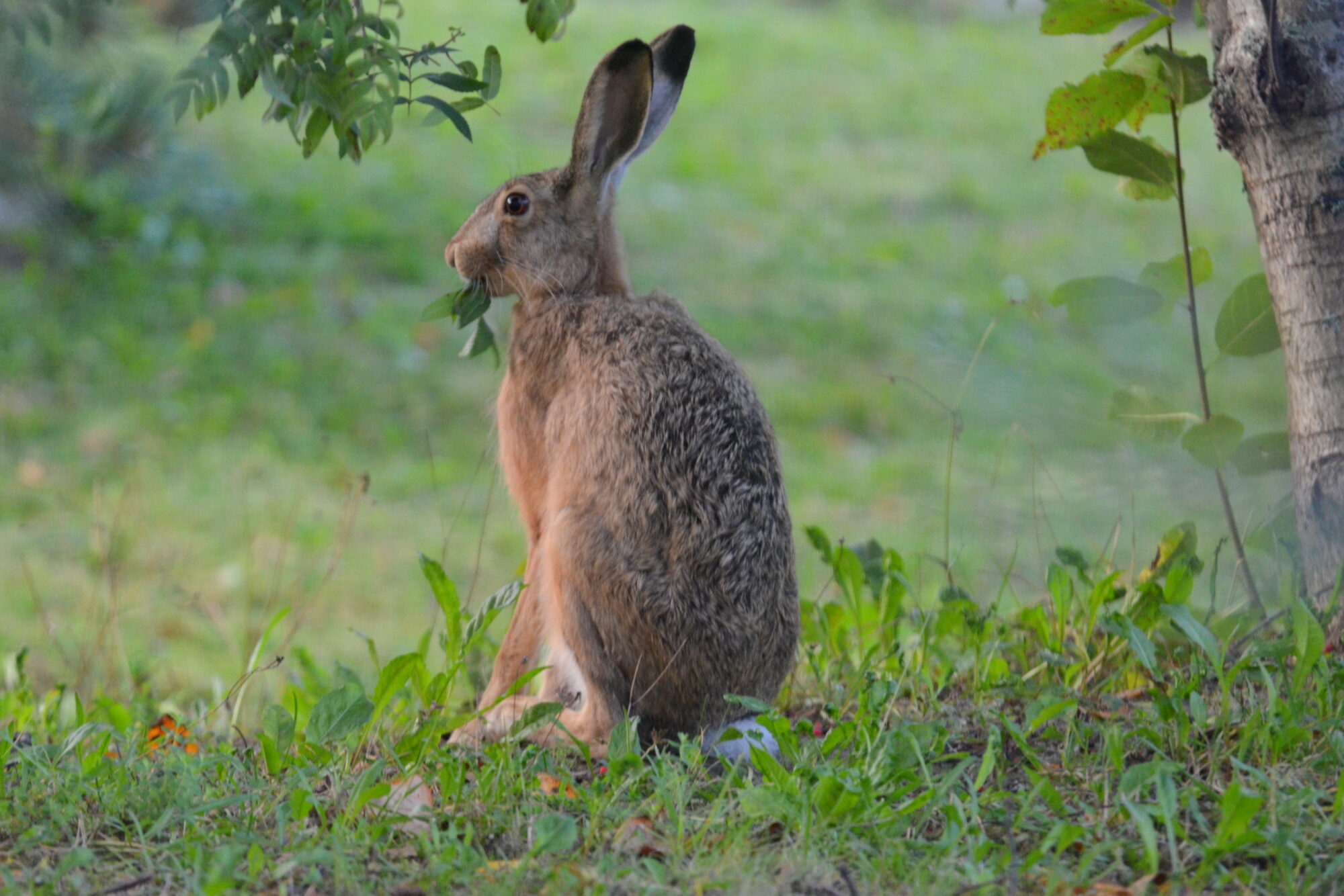 Valokuvaaja: Kaarlo Asikainen