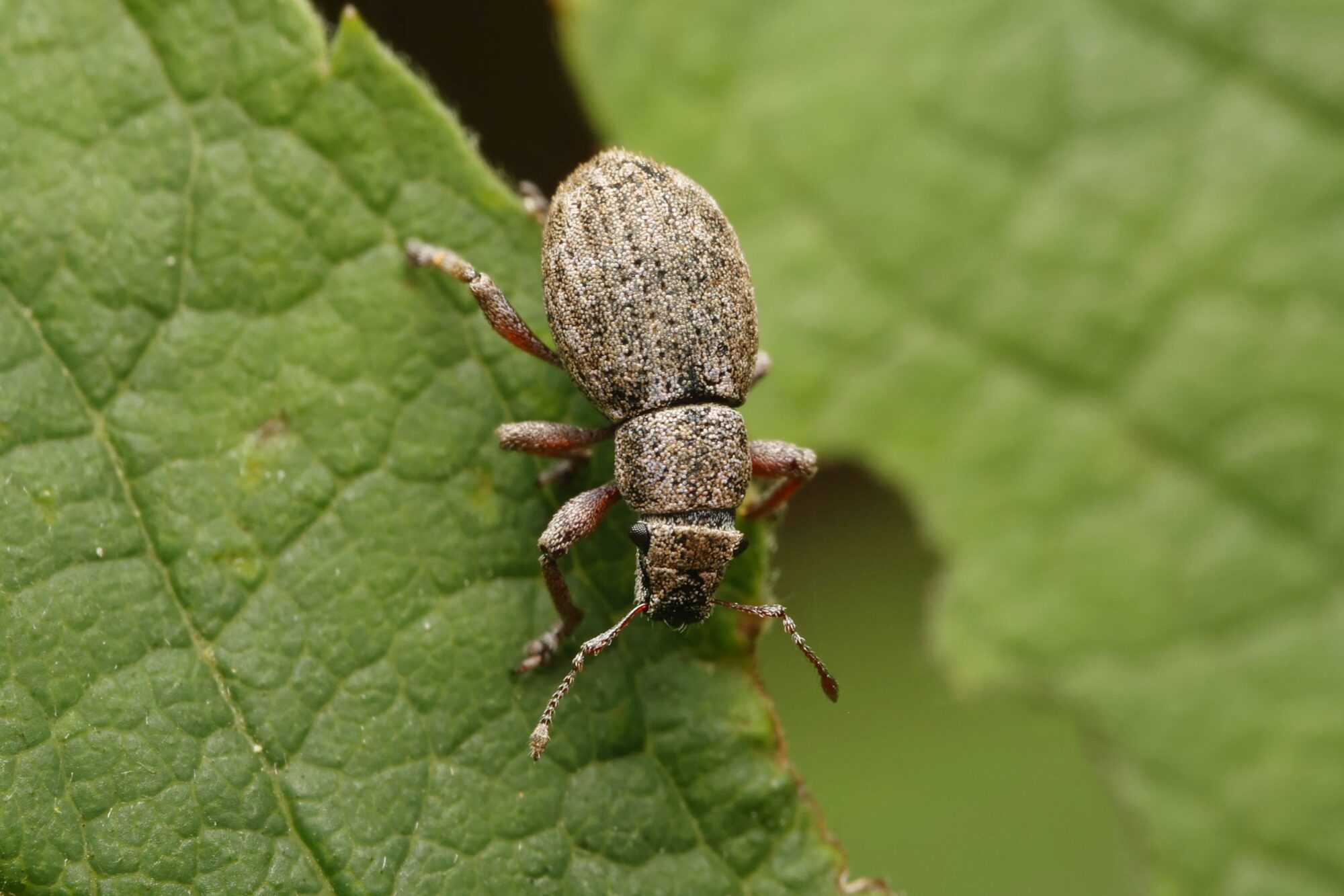 Valokuvaaja: TOMMI KUJALA Valokuvaaja: TOMMI KUJALA