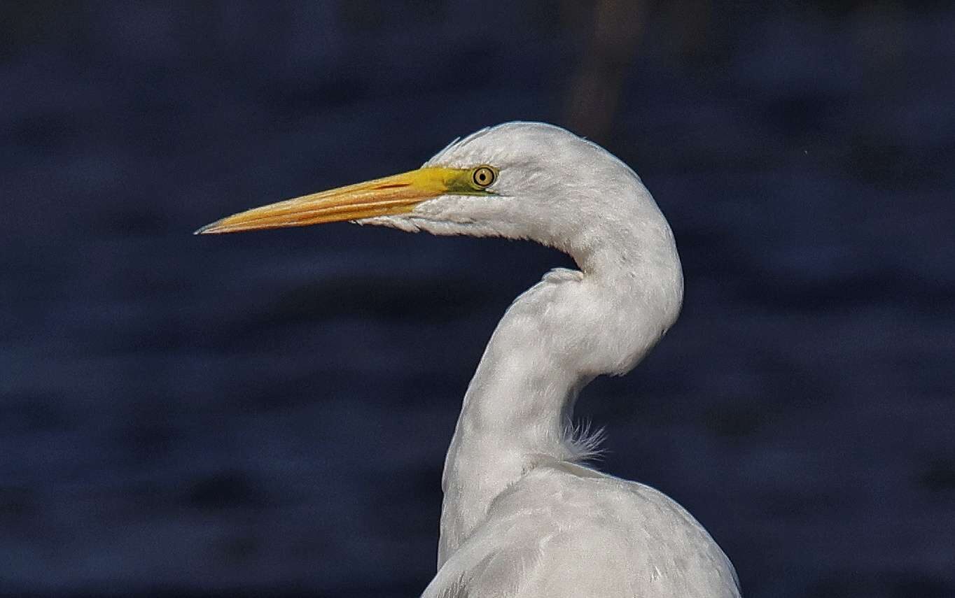 Valokuvaaja: Timo Lappalainen